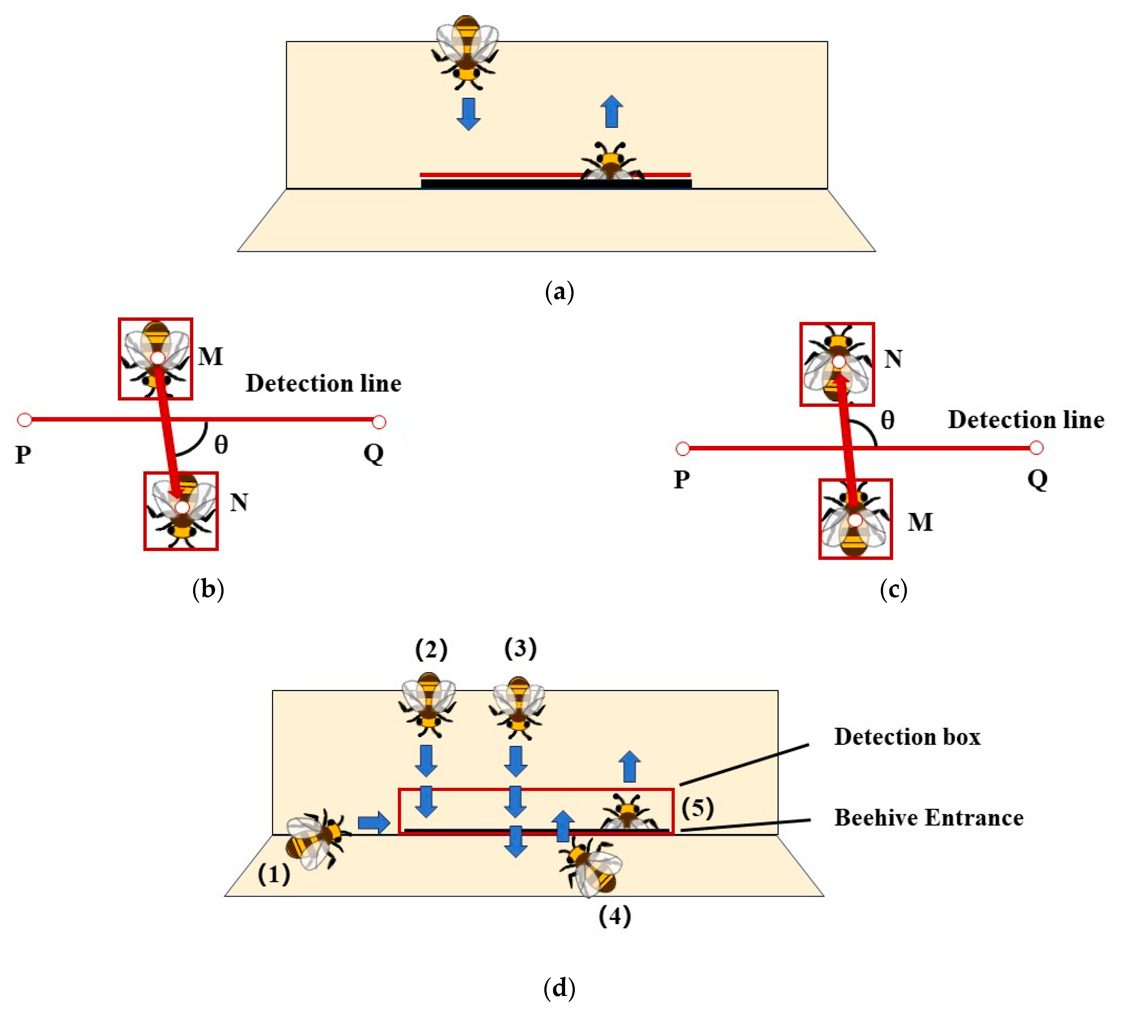Insects 15 00974 g006