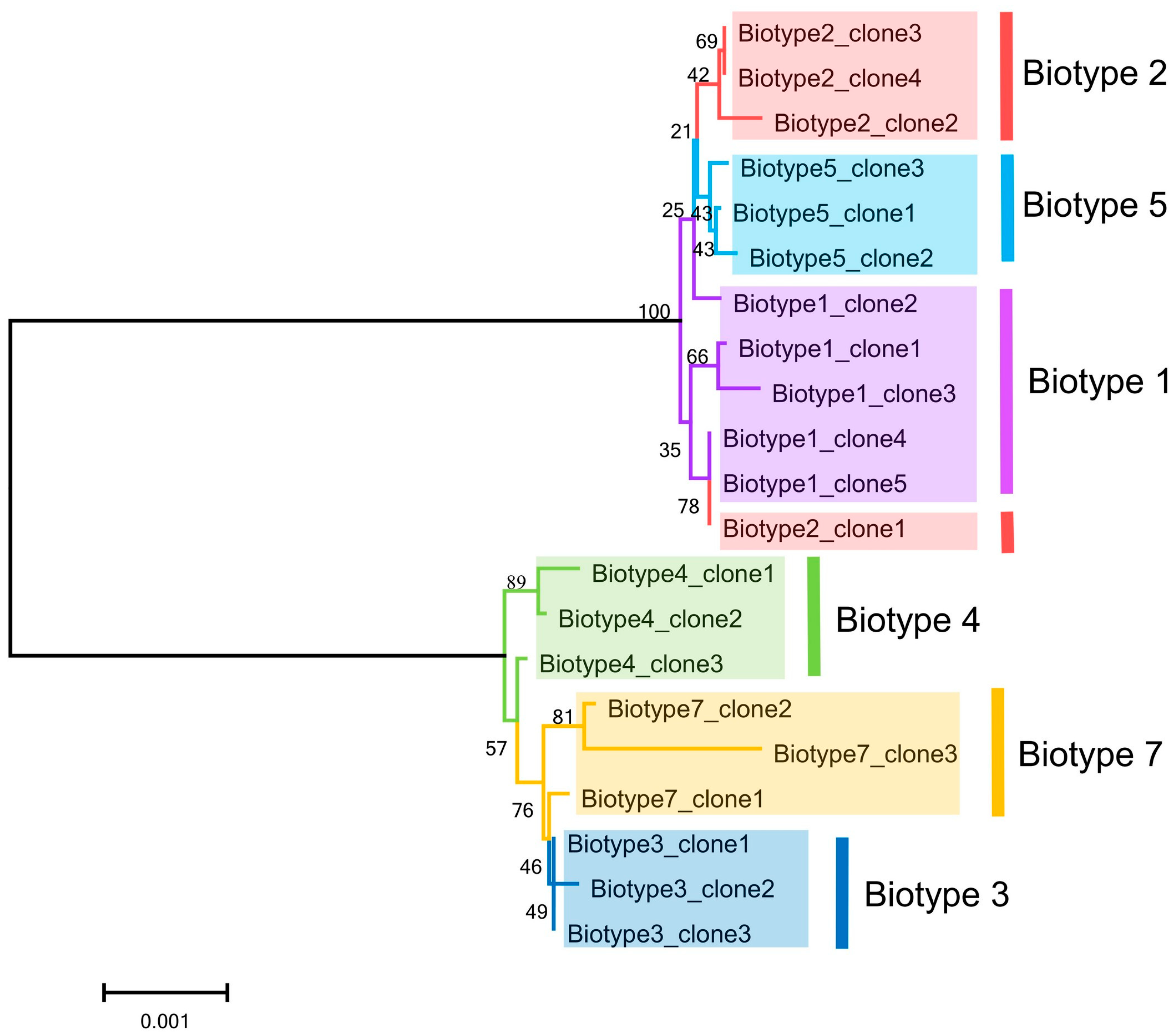 Insects 15 00980 g005 Insects 15 00980 g005
