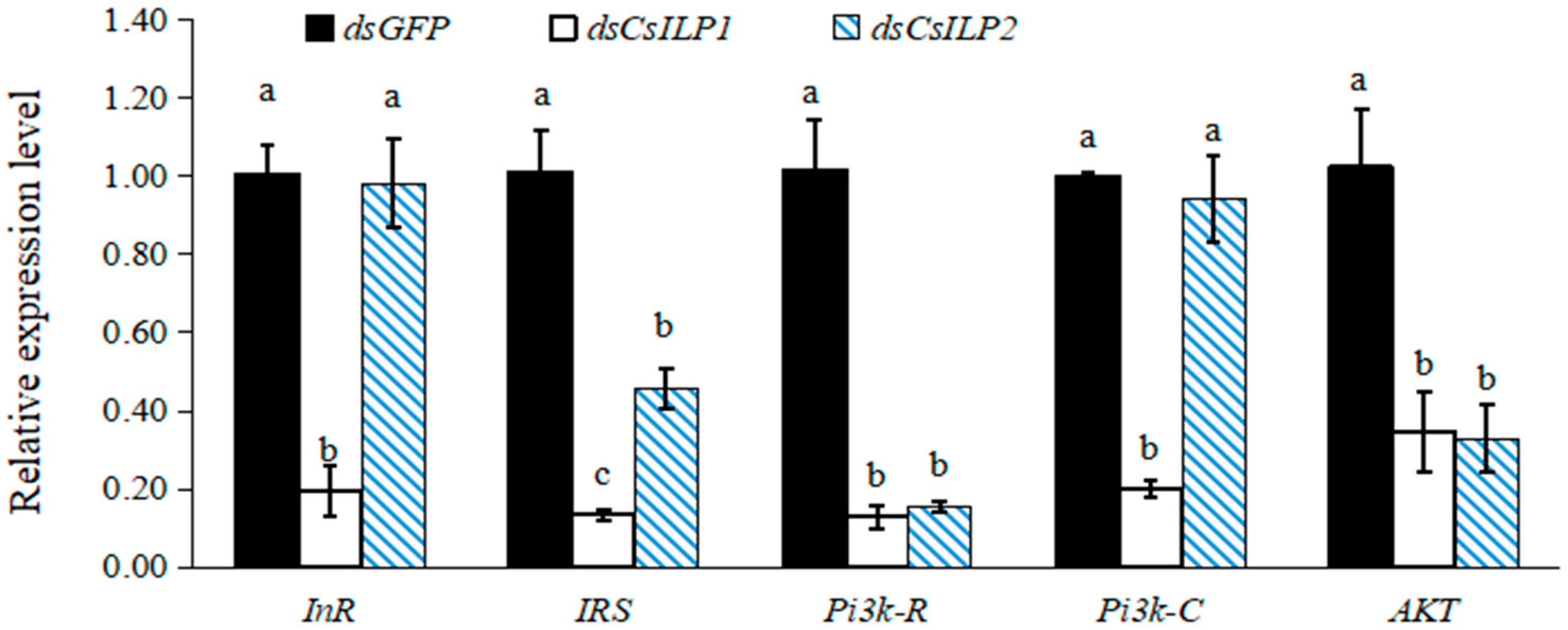 Insects 15 00981 g006