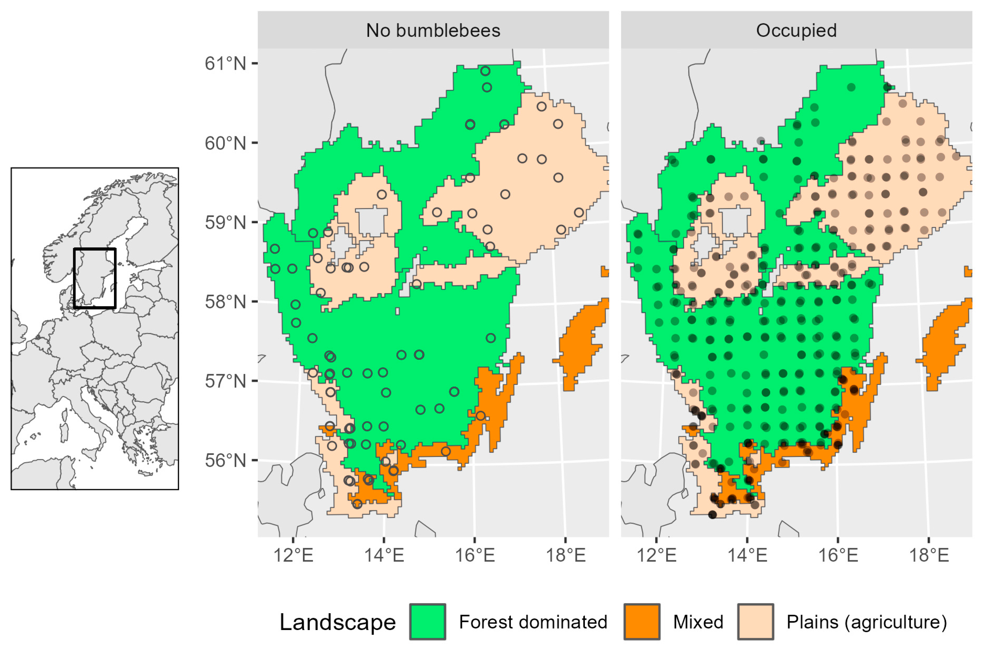 Insects 15 00982 g001