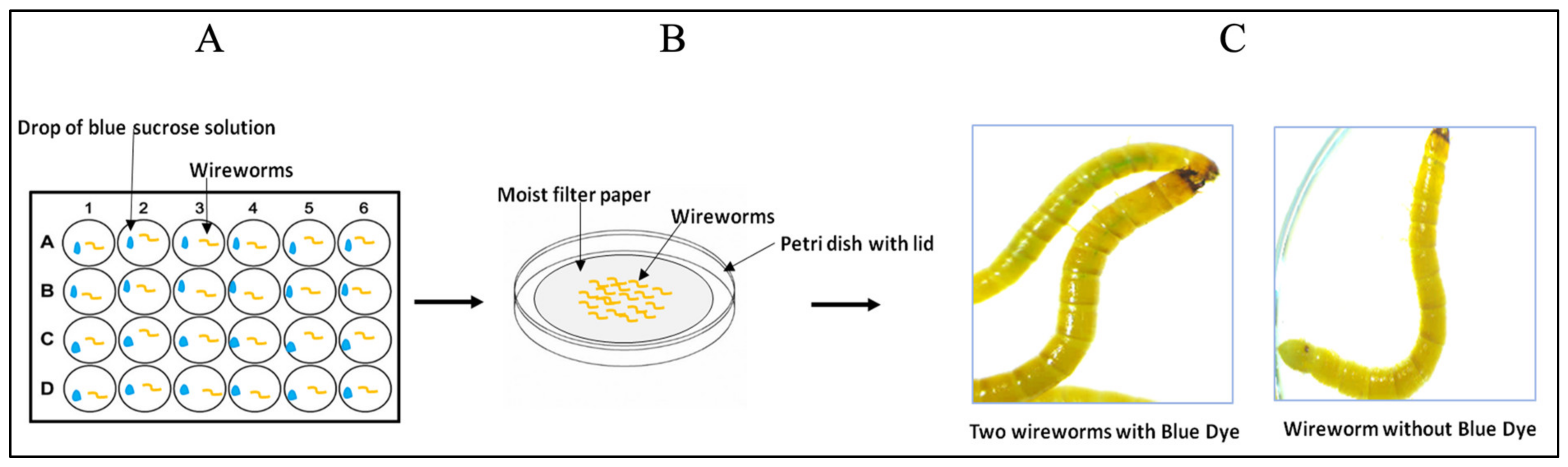Insects 15 00983 g002 Insects 15 00983 g002