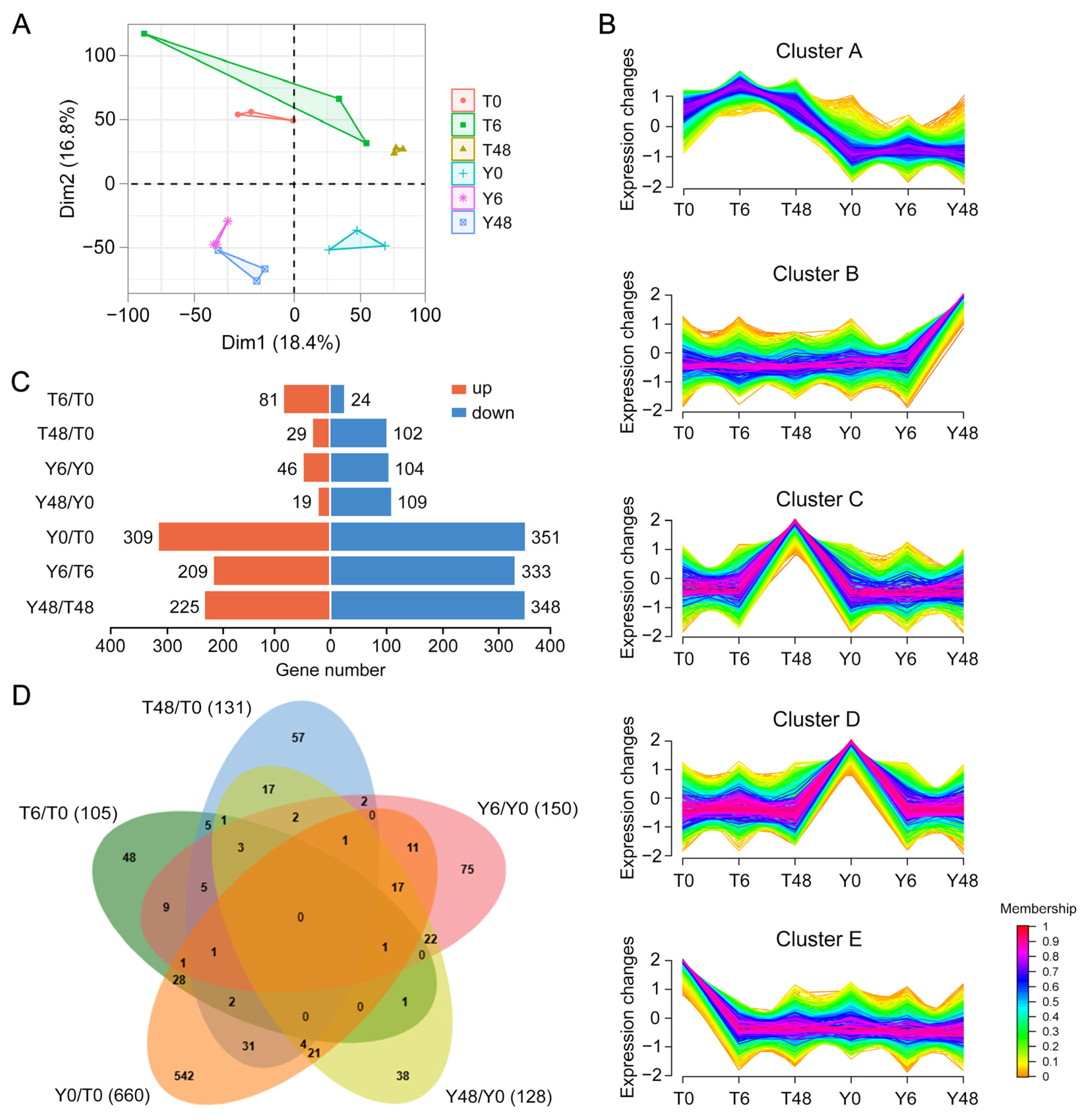 Insects 15 00992 g001
