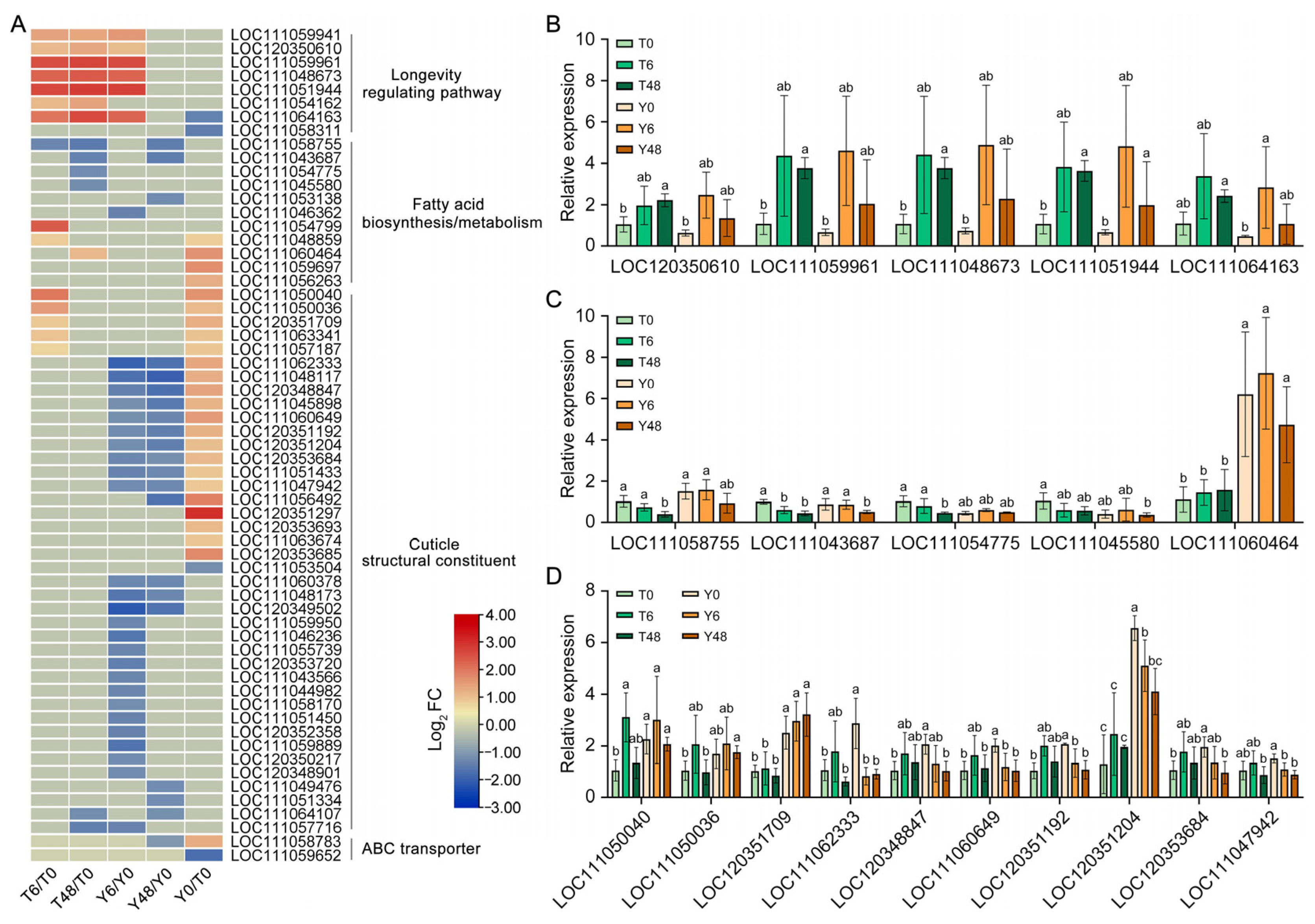 Insects 15 00992 g004