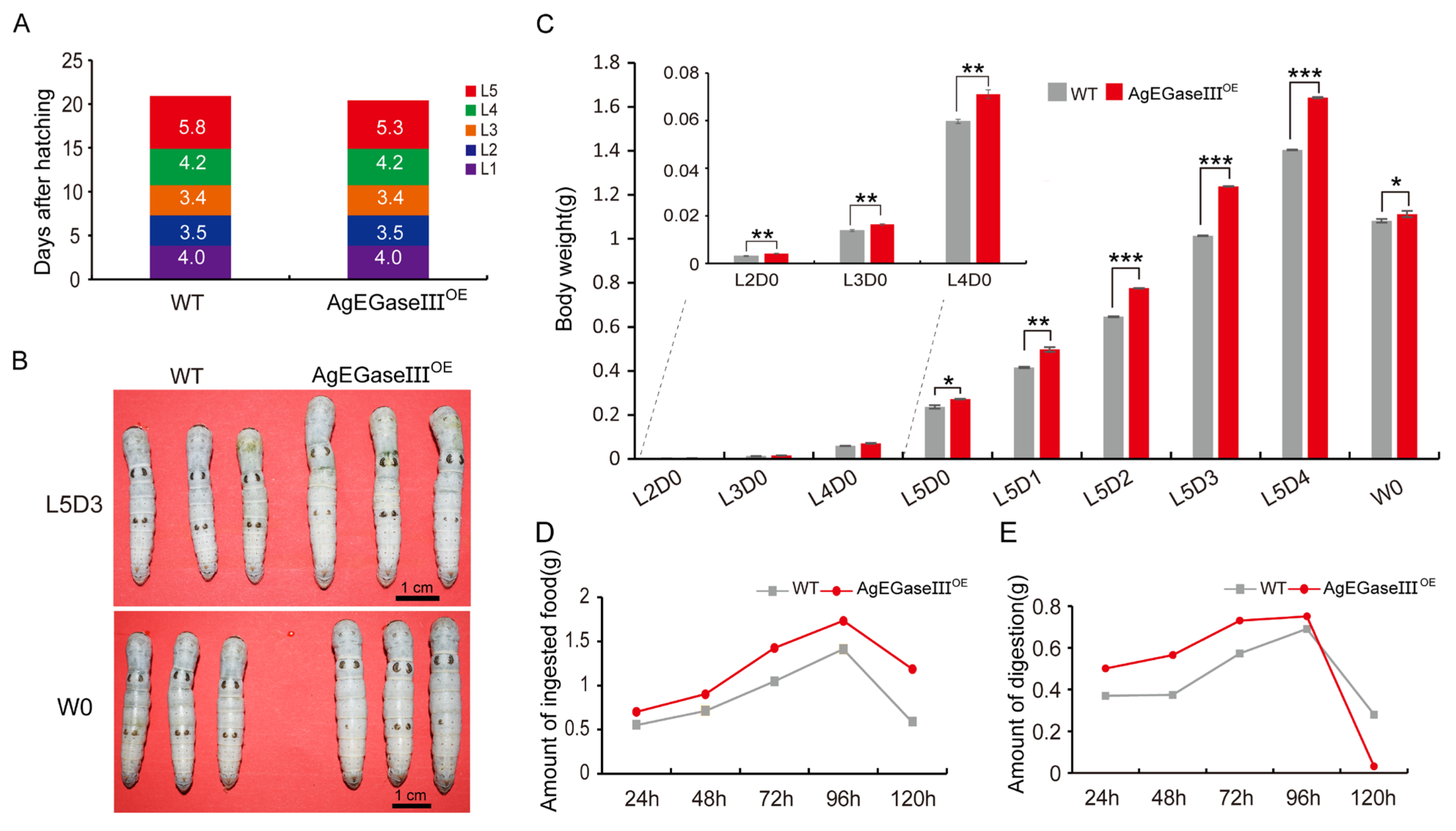 Insects 15 00997 g002