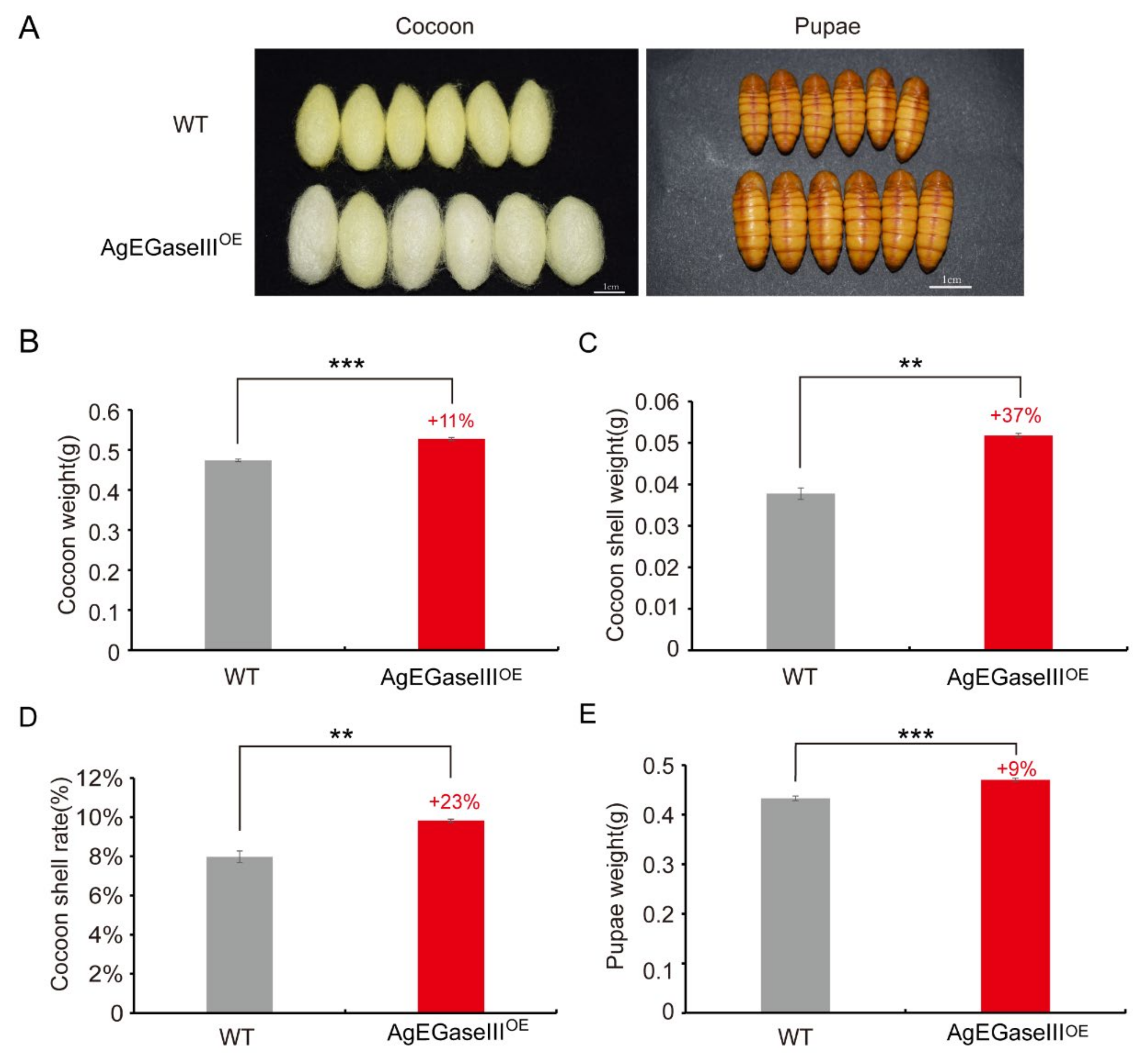 Insects 15 00997 g003