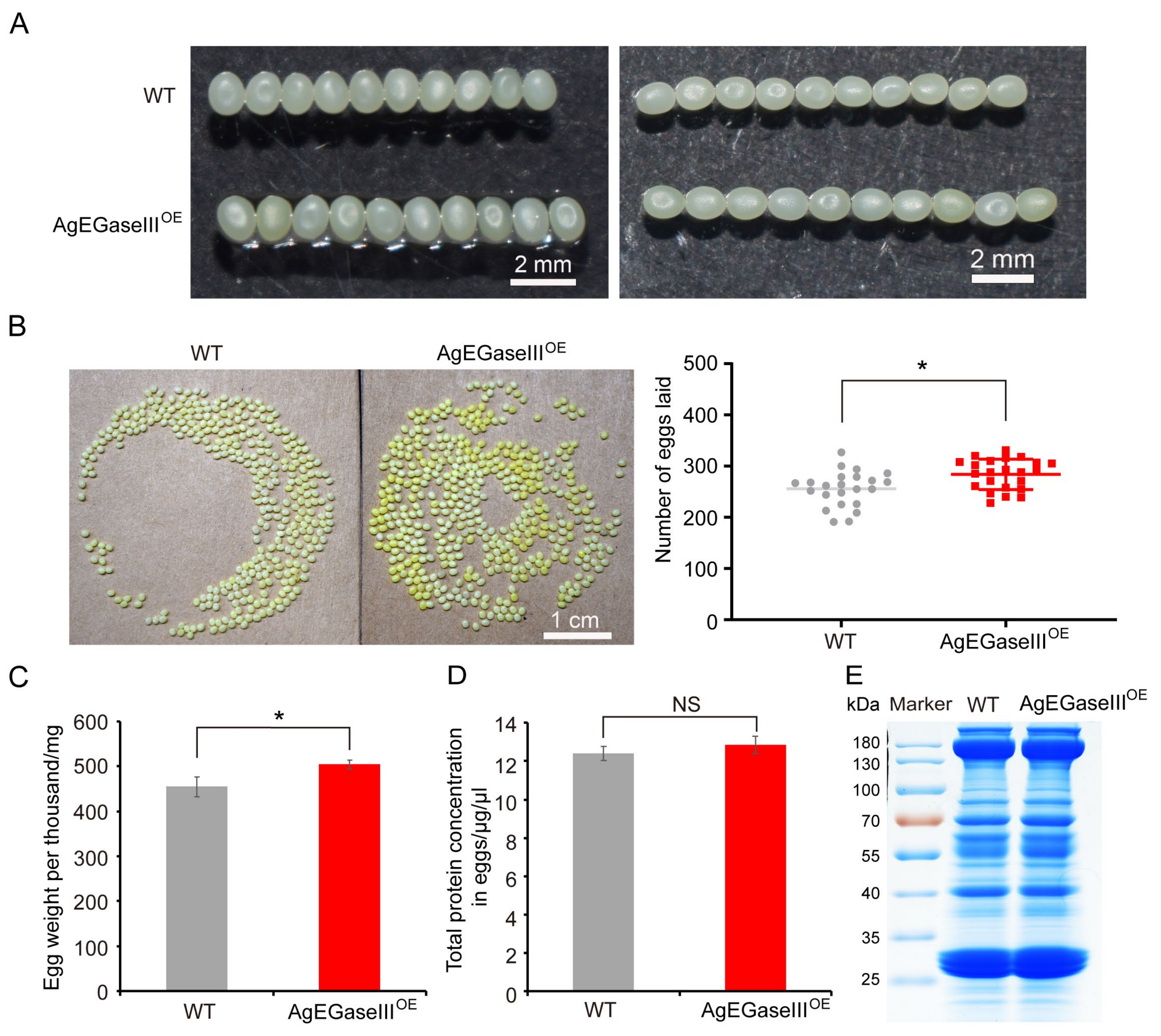 Insects 15 00997 g004