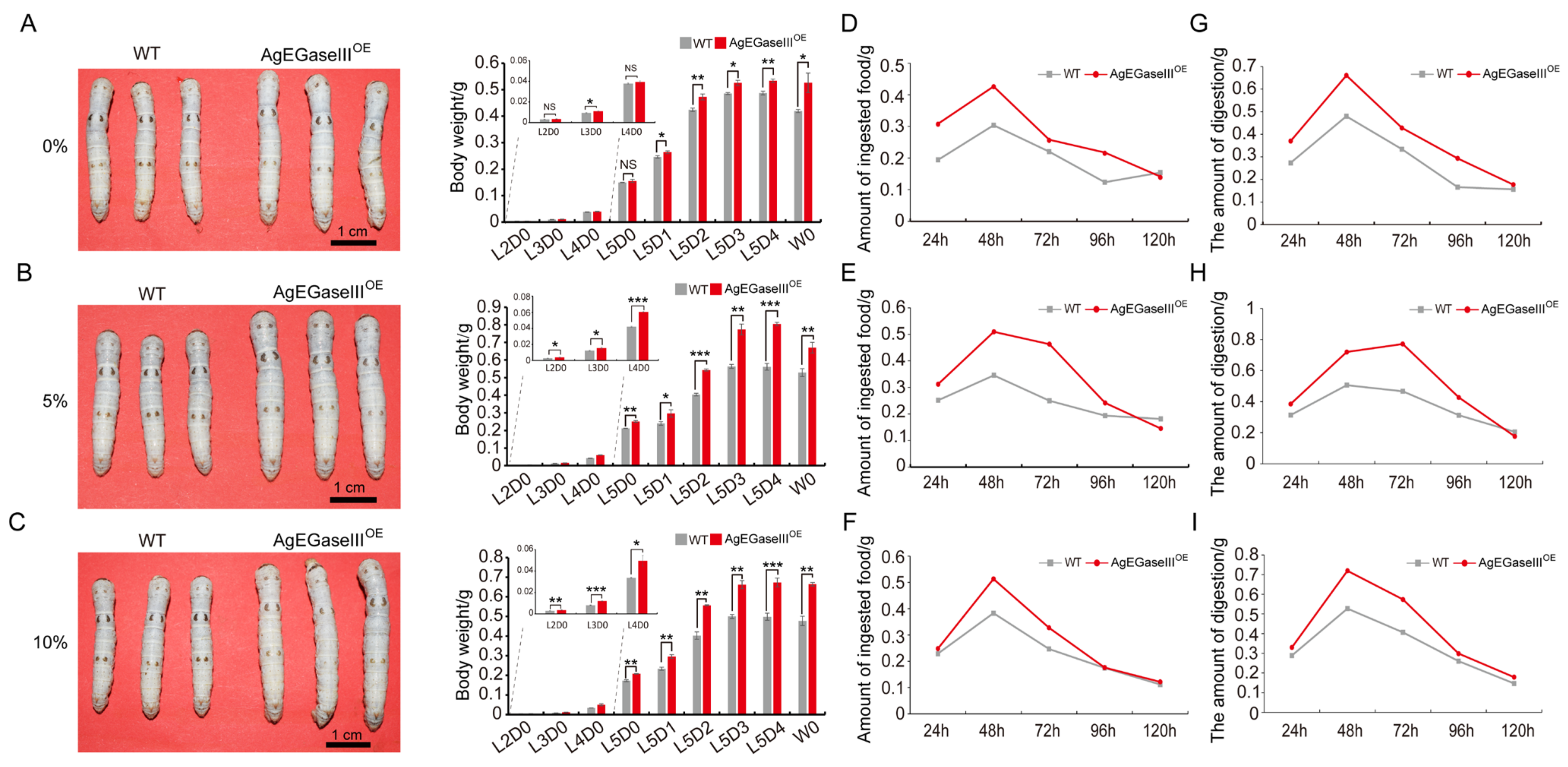 Insects 15 00997 g005