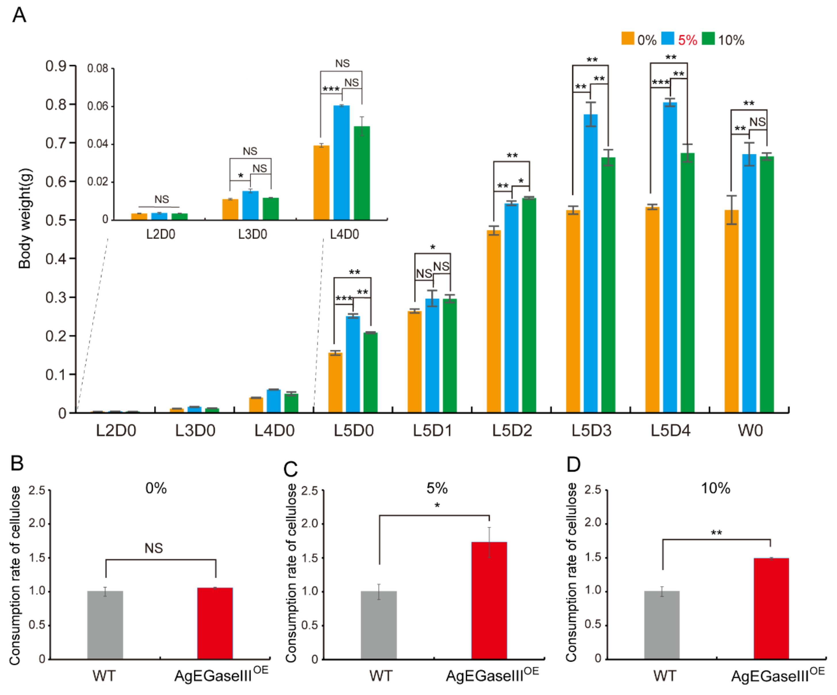 Insects 15 00997 g006