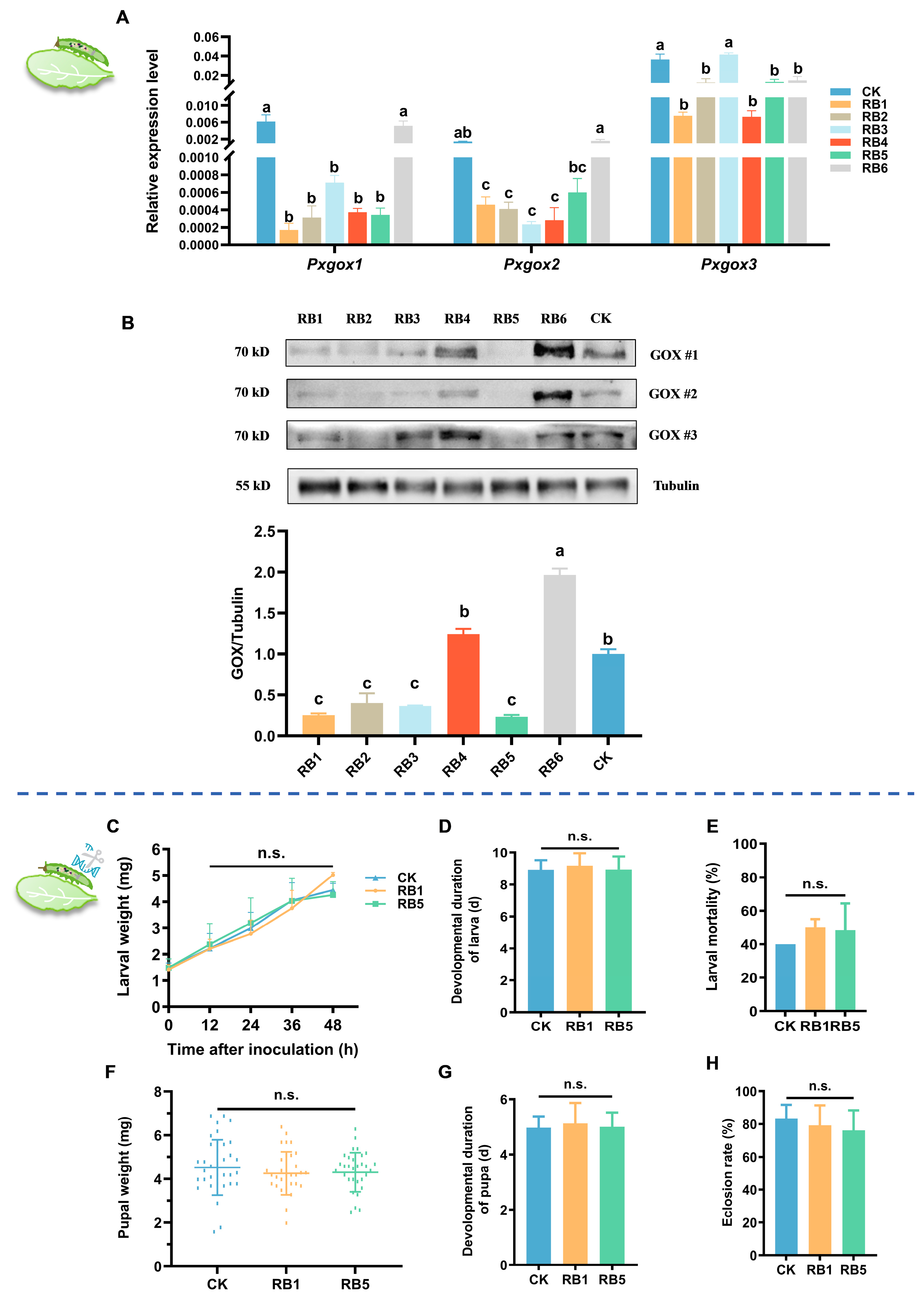 Insects 15 01001 g007