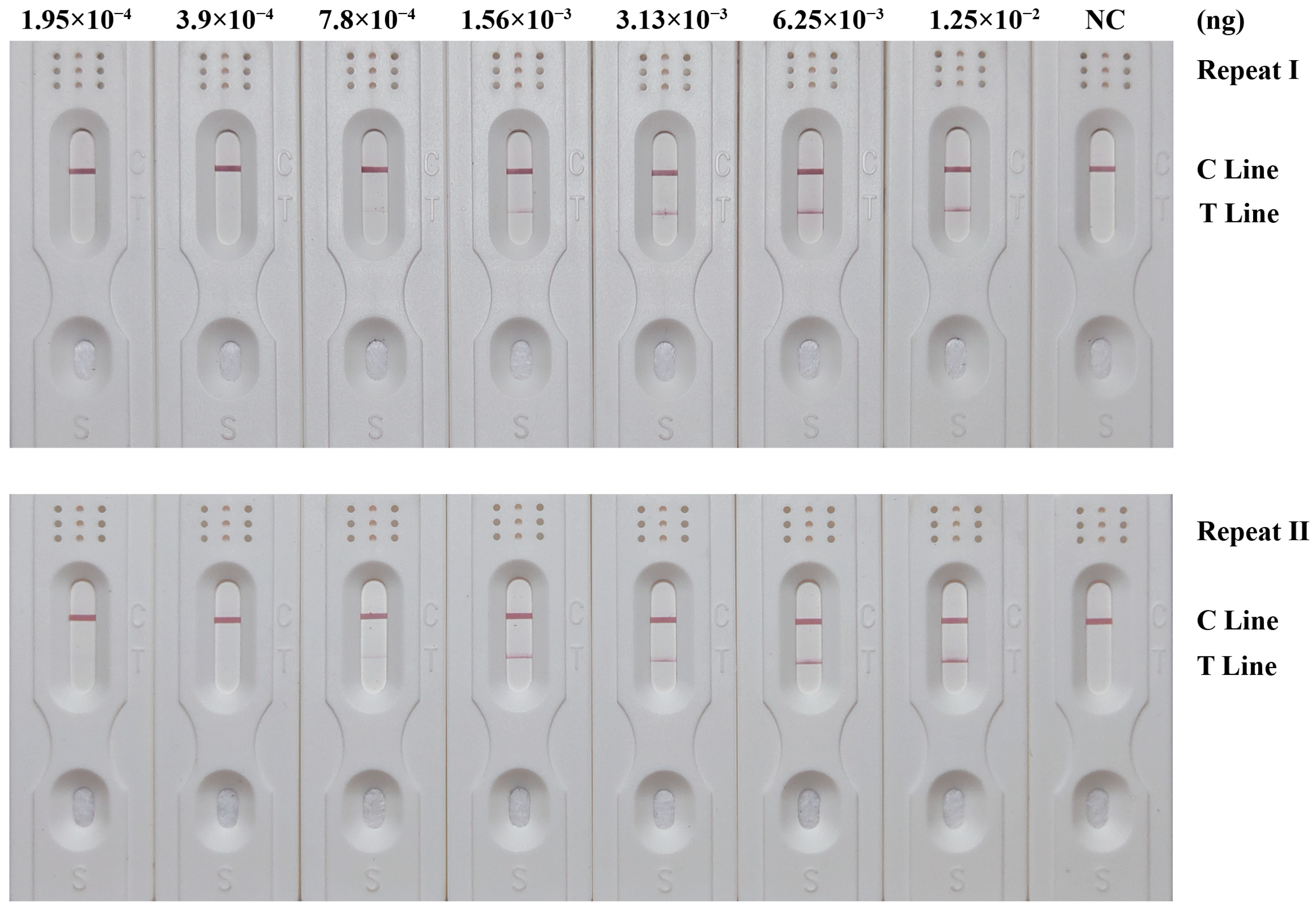 Insects 15 01008 g003