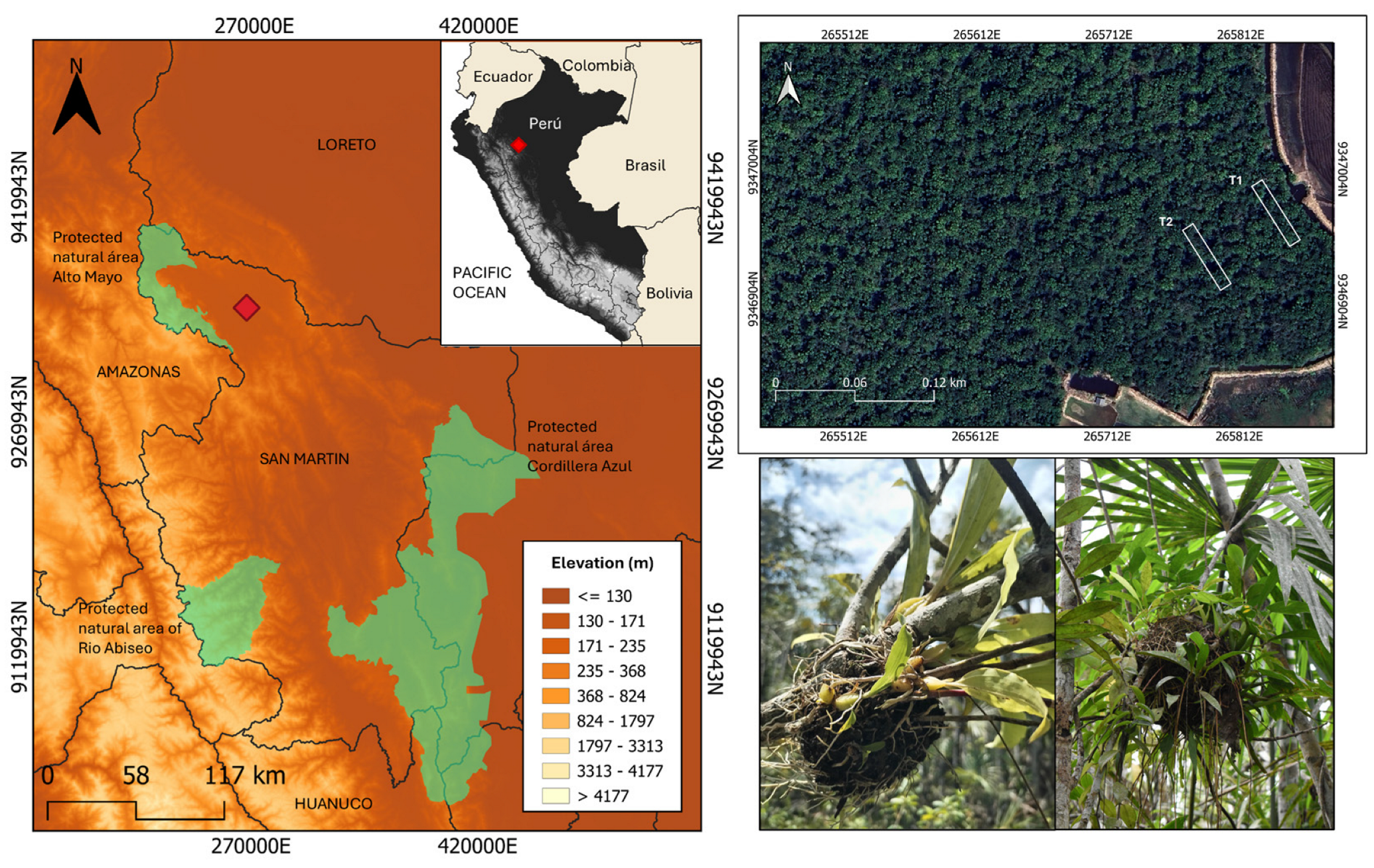Insects 15 01011 g001 Insects 15 01011 g001