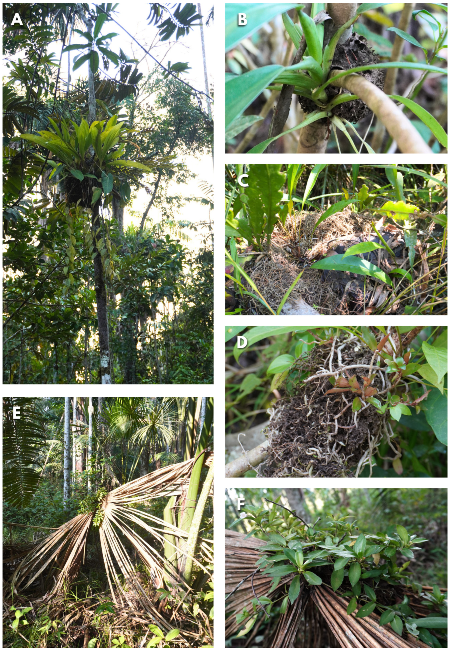 Insects 15 01011 g005 Insects 15 01011 g005