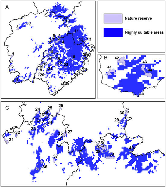 Predicting the Potential Distribution of Cheirotonus jansoni Predicting the Potential Distribution of Cheirotonus jansoni