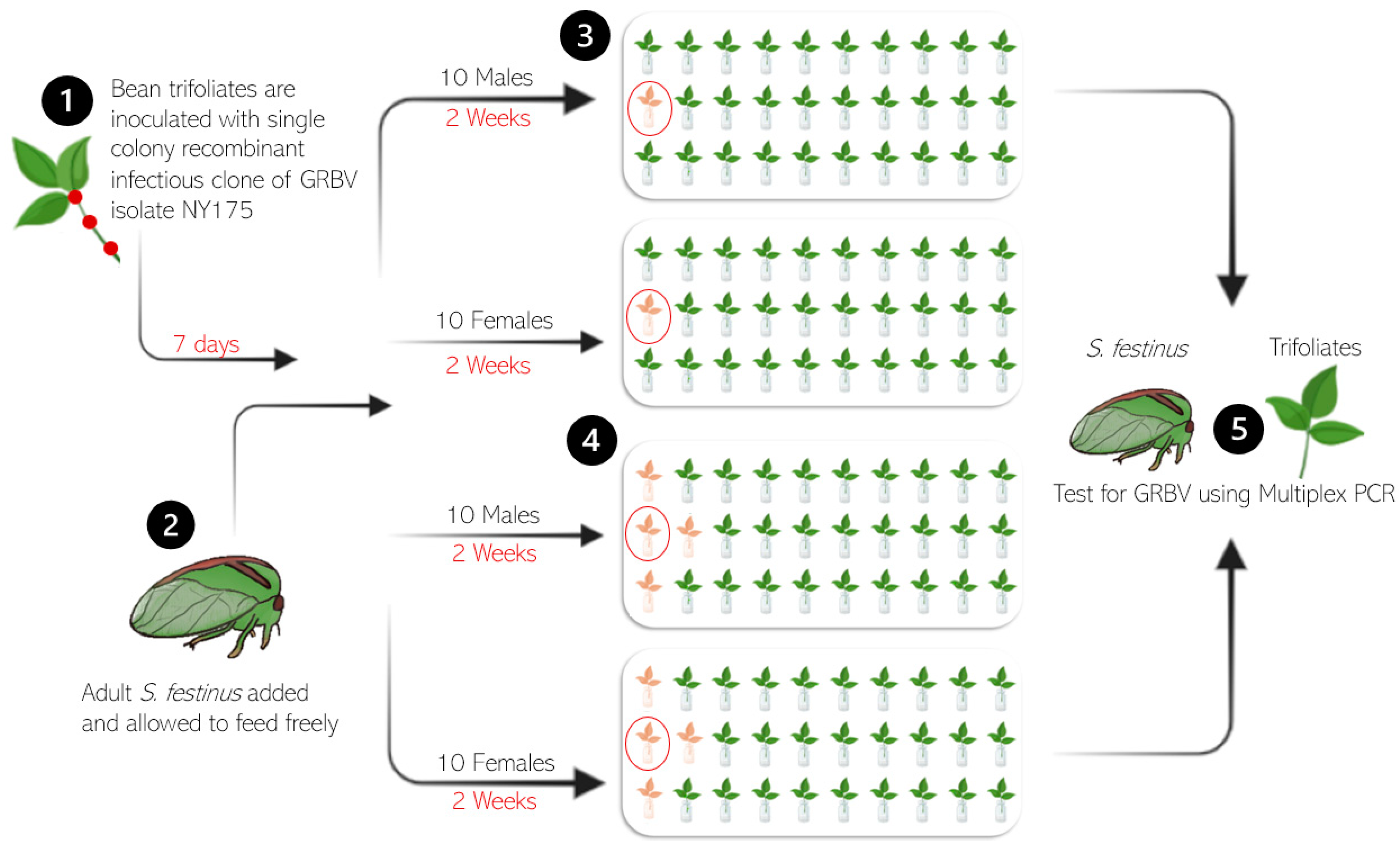 Insects 15 01014 g003