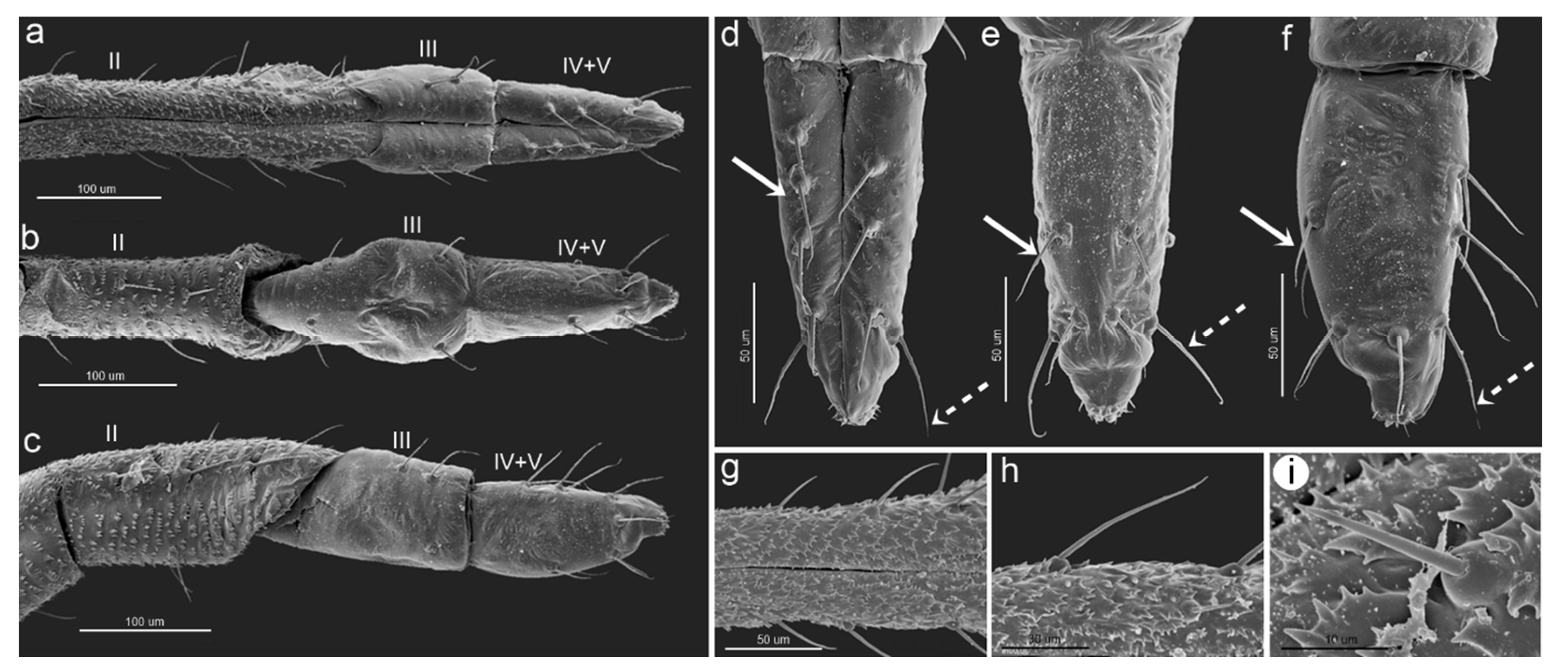 Insects 15 01015 g006