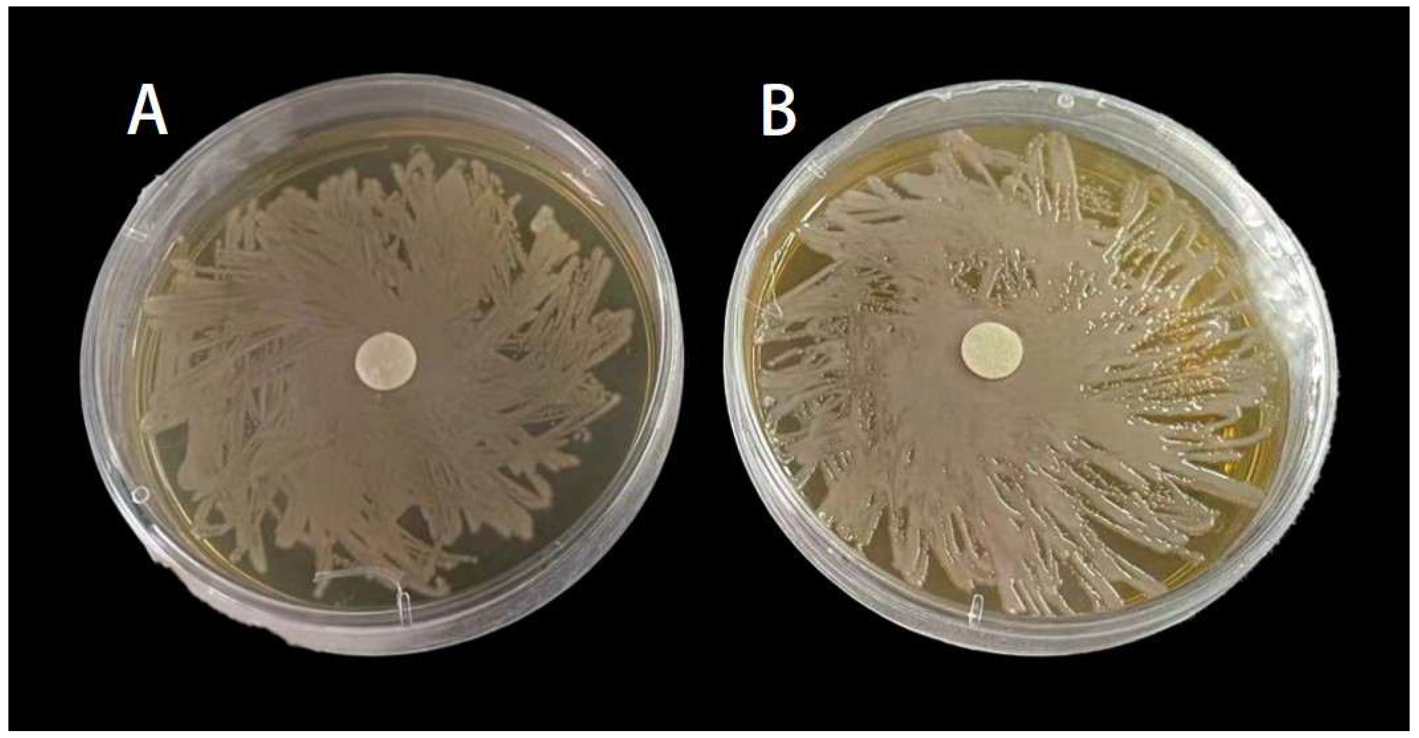Insects 15 01019 g005