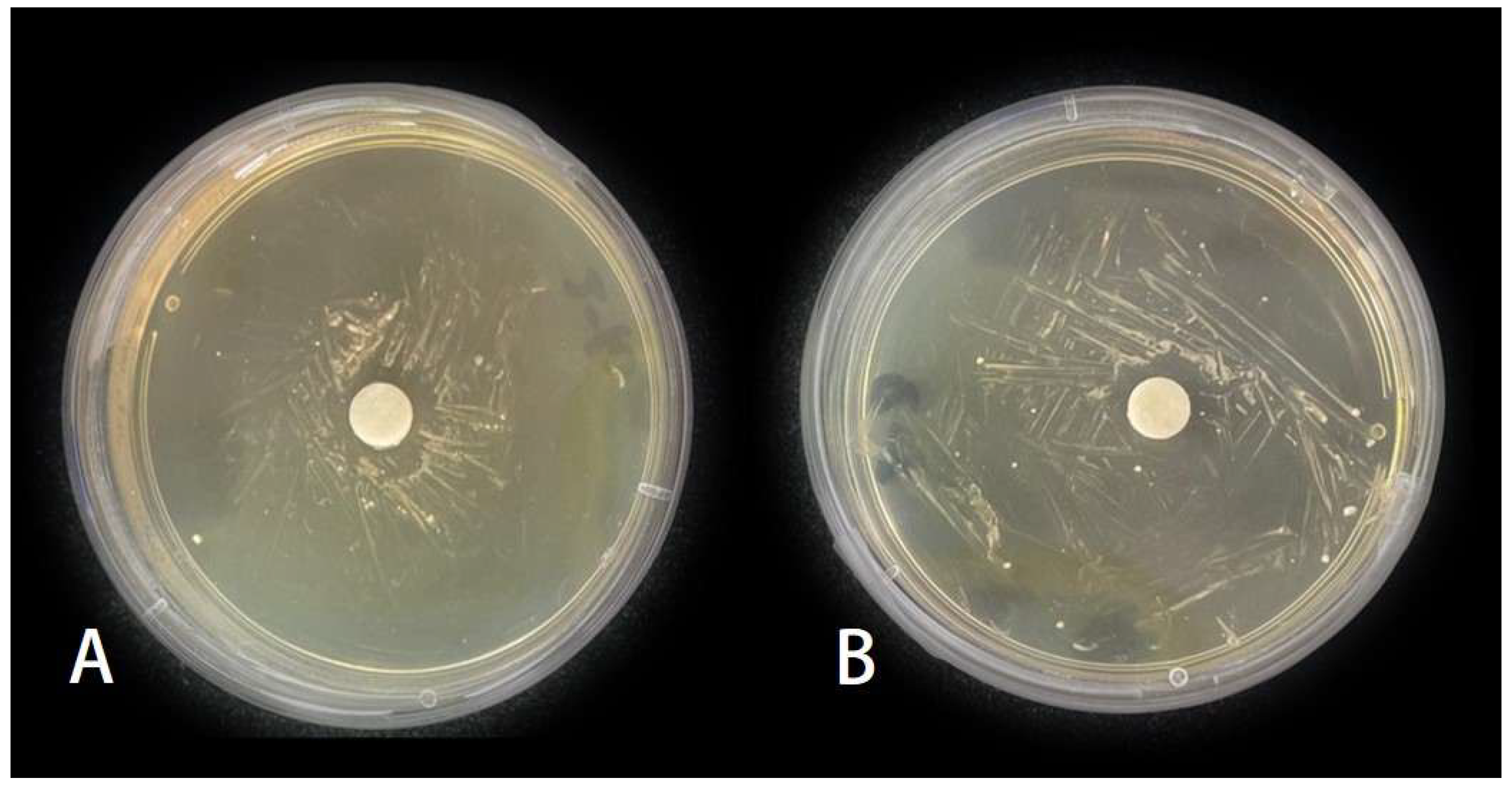 Insects 15 01019 g007