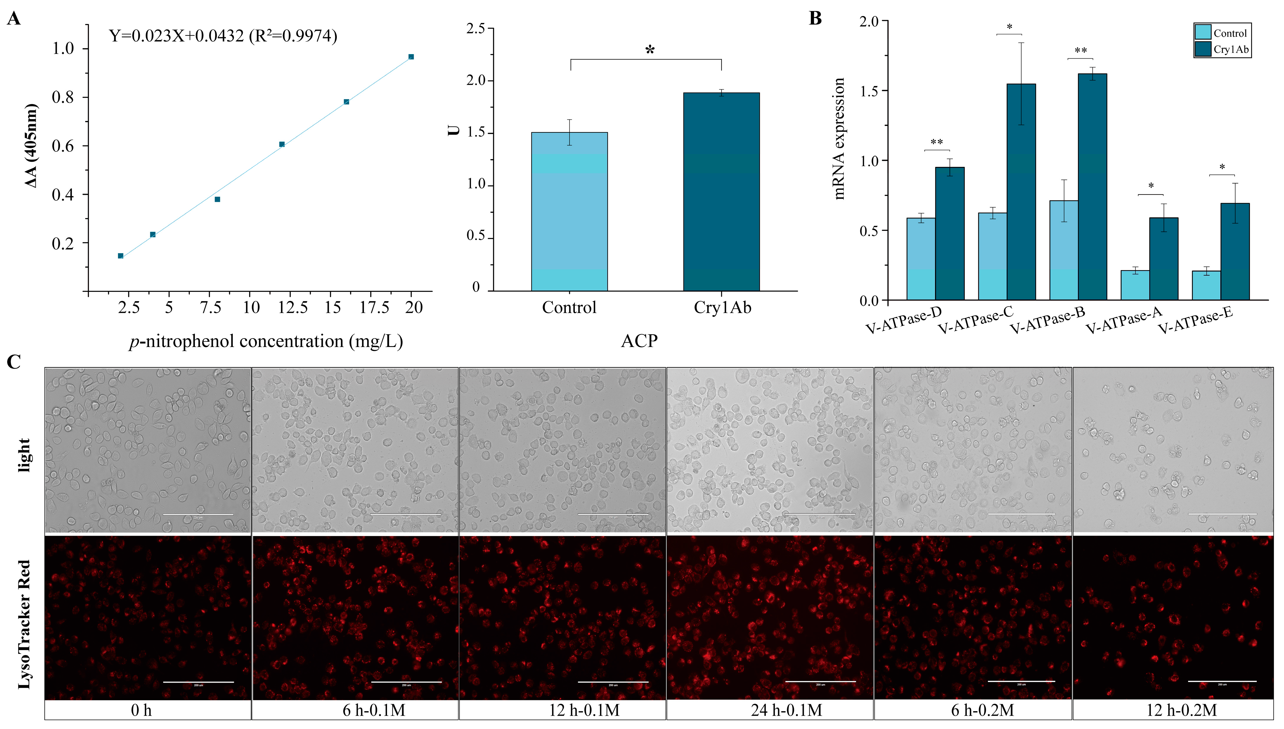 Insects 16 00010 g004 Insects 16 00010 g004