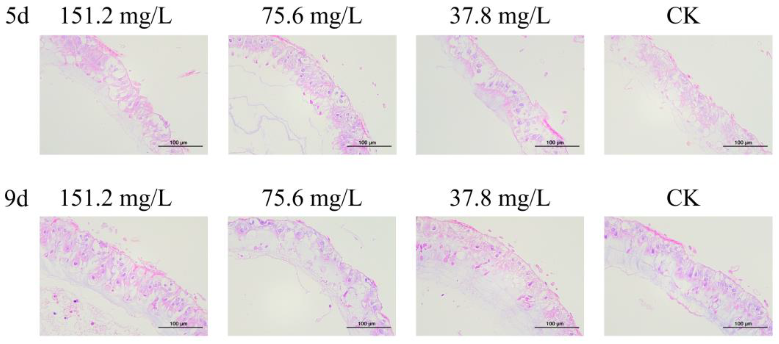 Insects 16 00020 g007 Insects 16 00020 g007