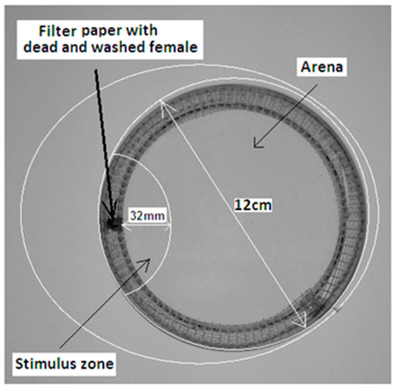 Insects 16 00024 g002