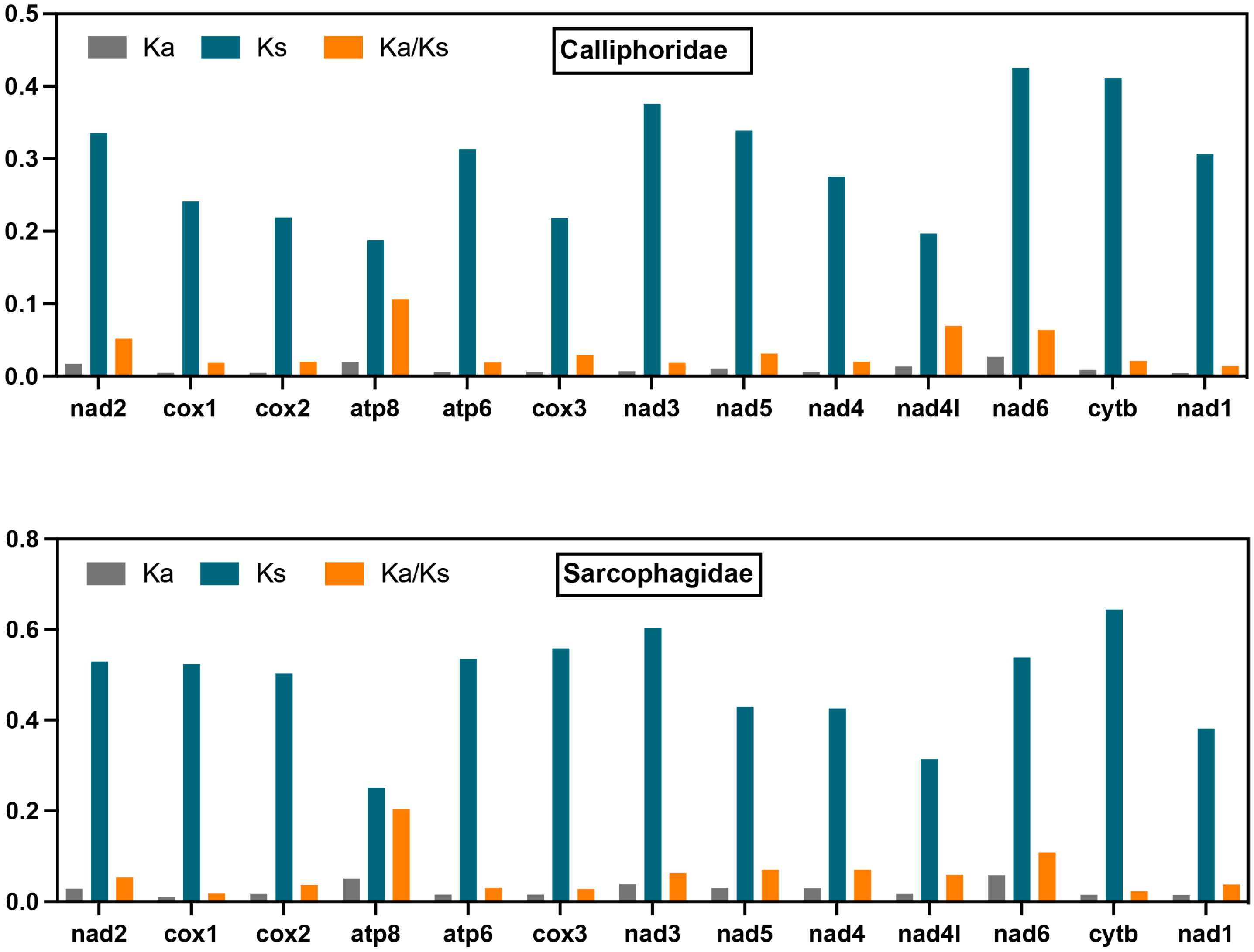 Insects 16 00026 g004