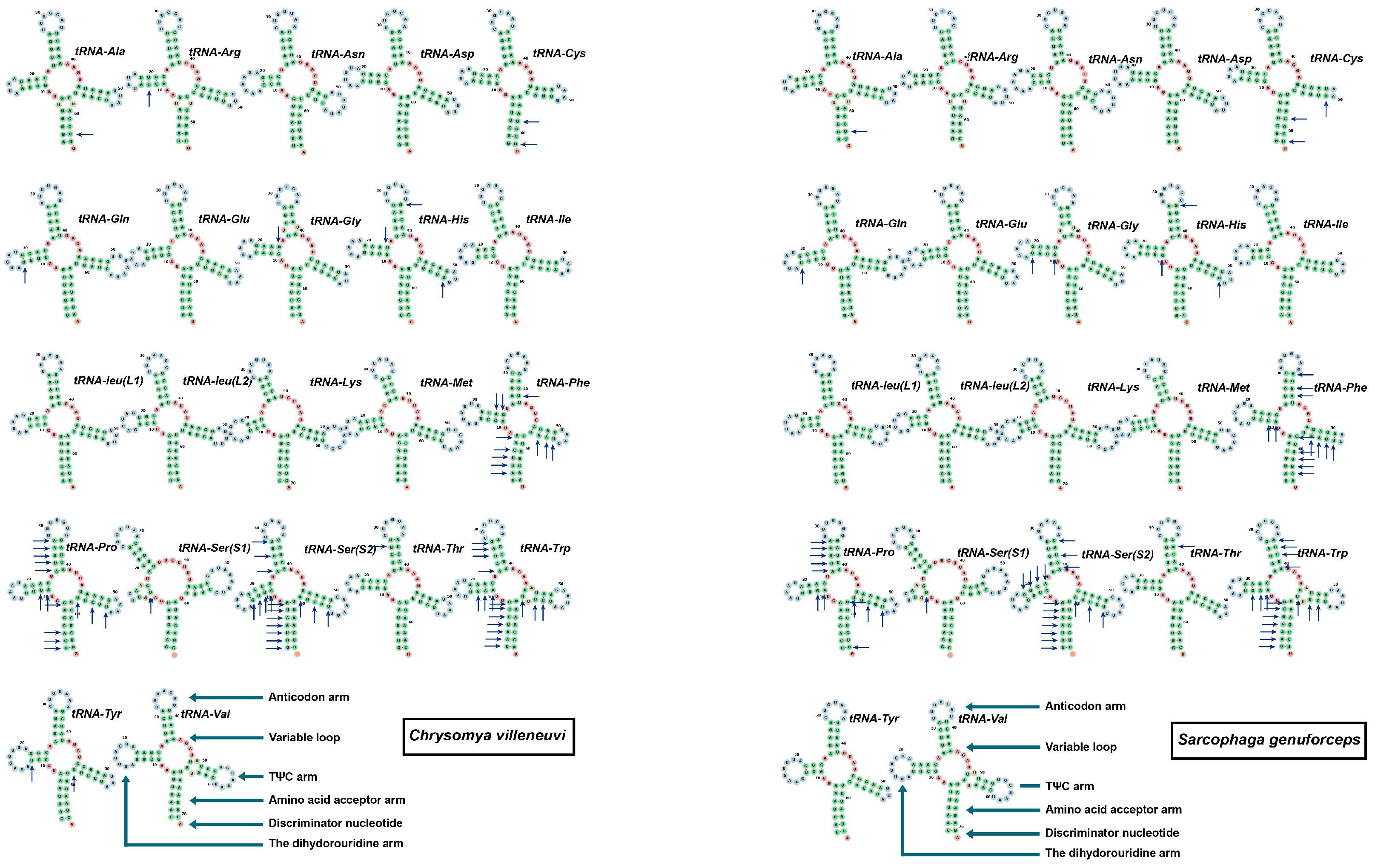 Insects 16 00026 g005