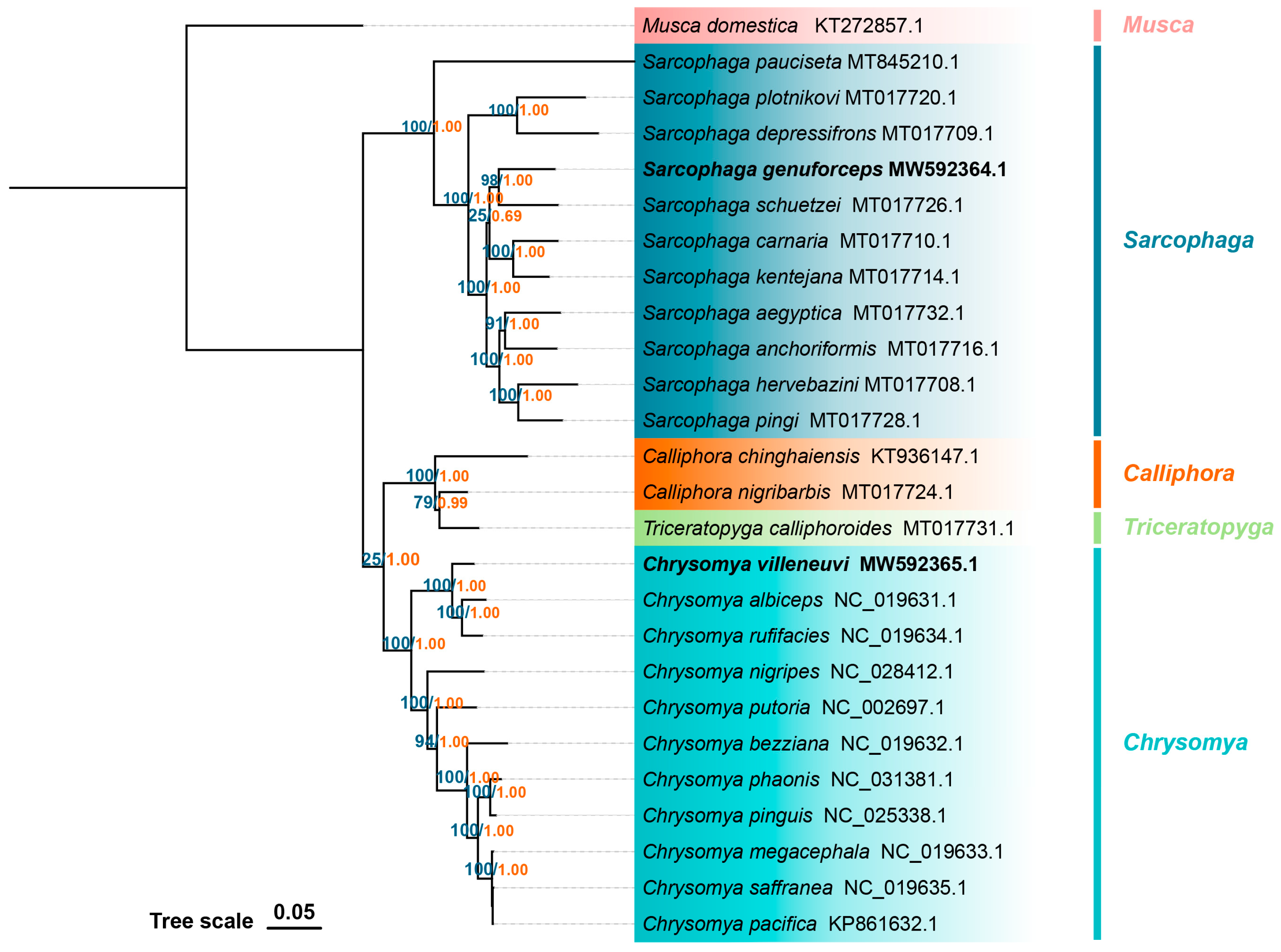 Insects 16 00026 g006