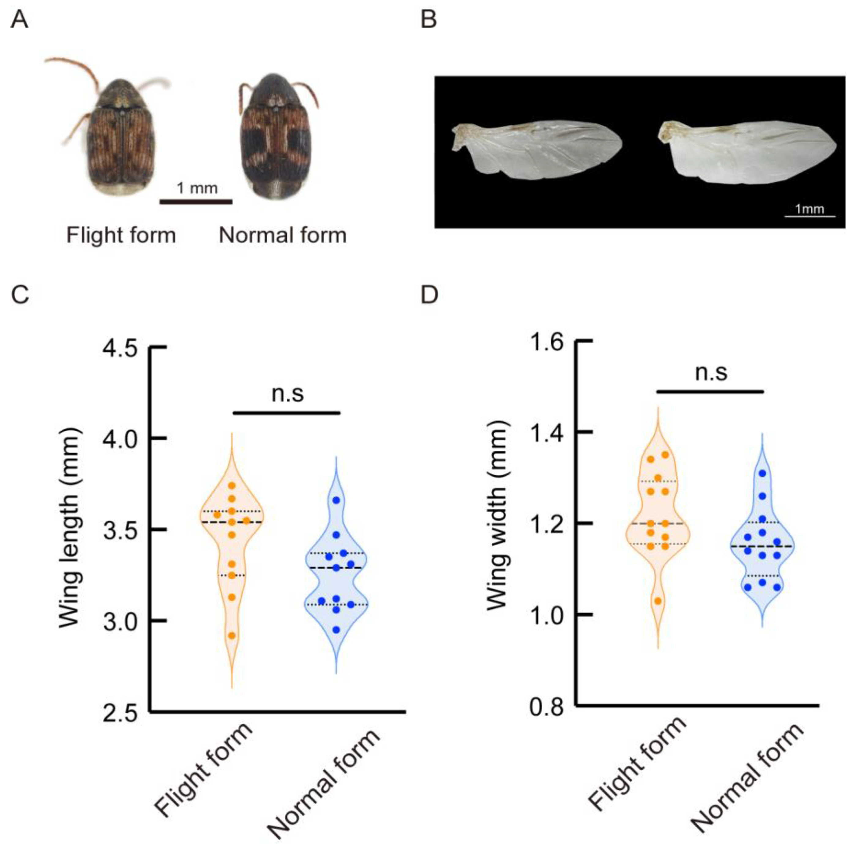 Insects 16 00029 g001