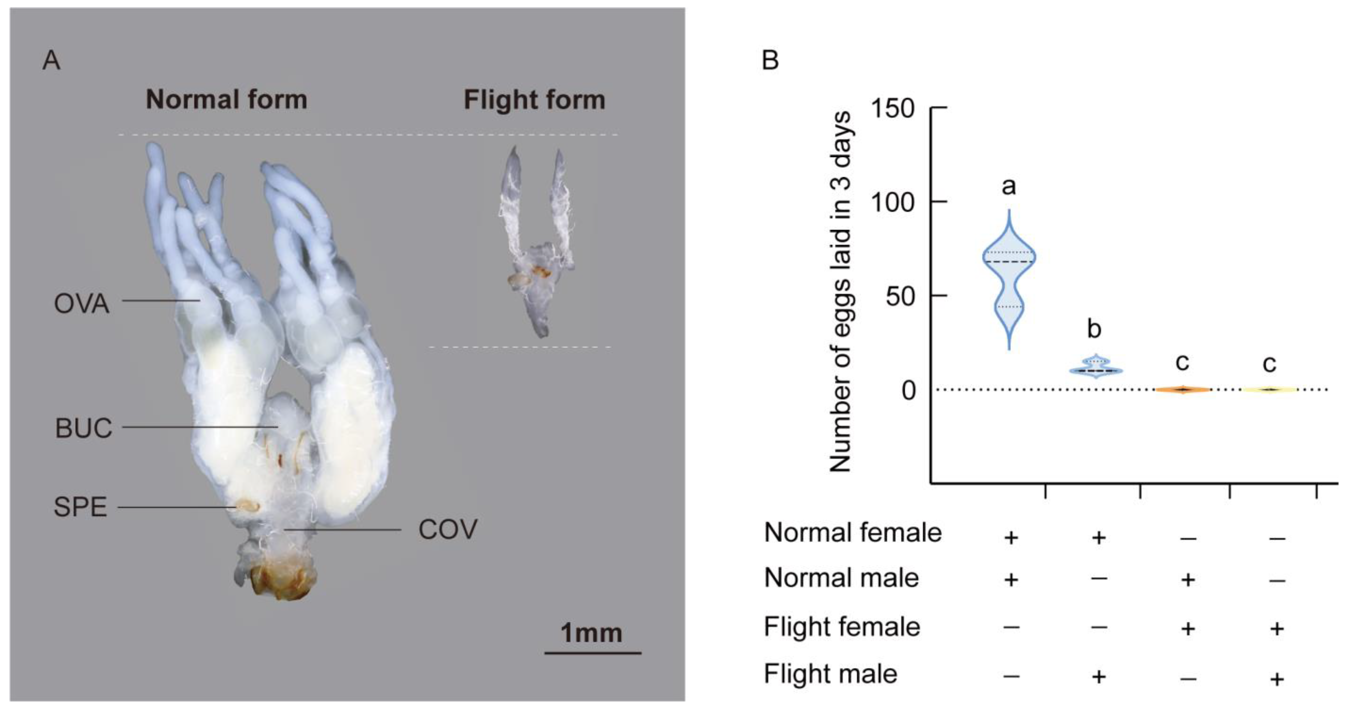 Insects 16 00029 g006