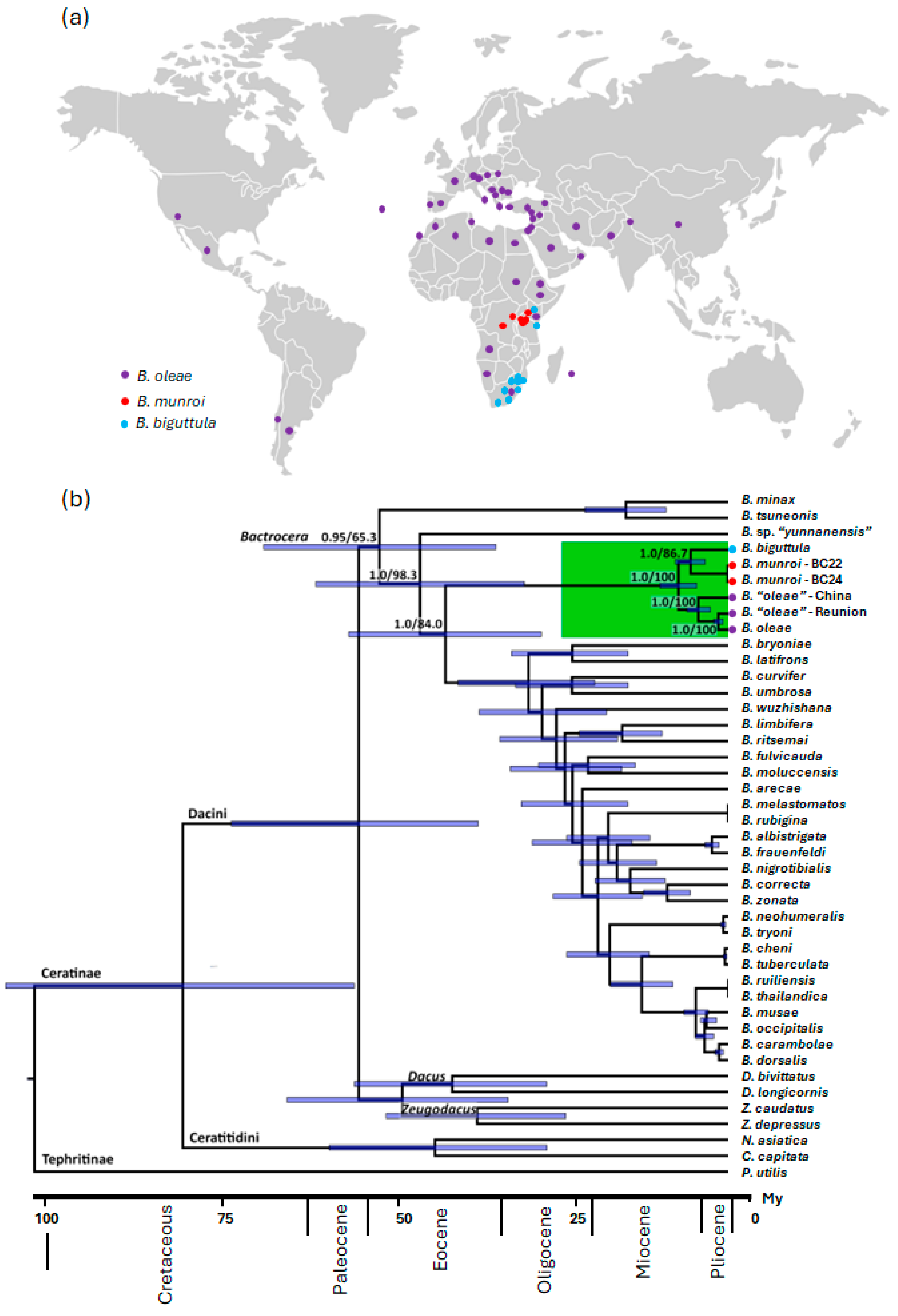 Insects 16 00030 g001