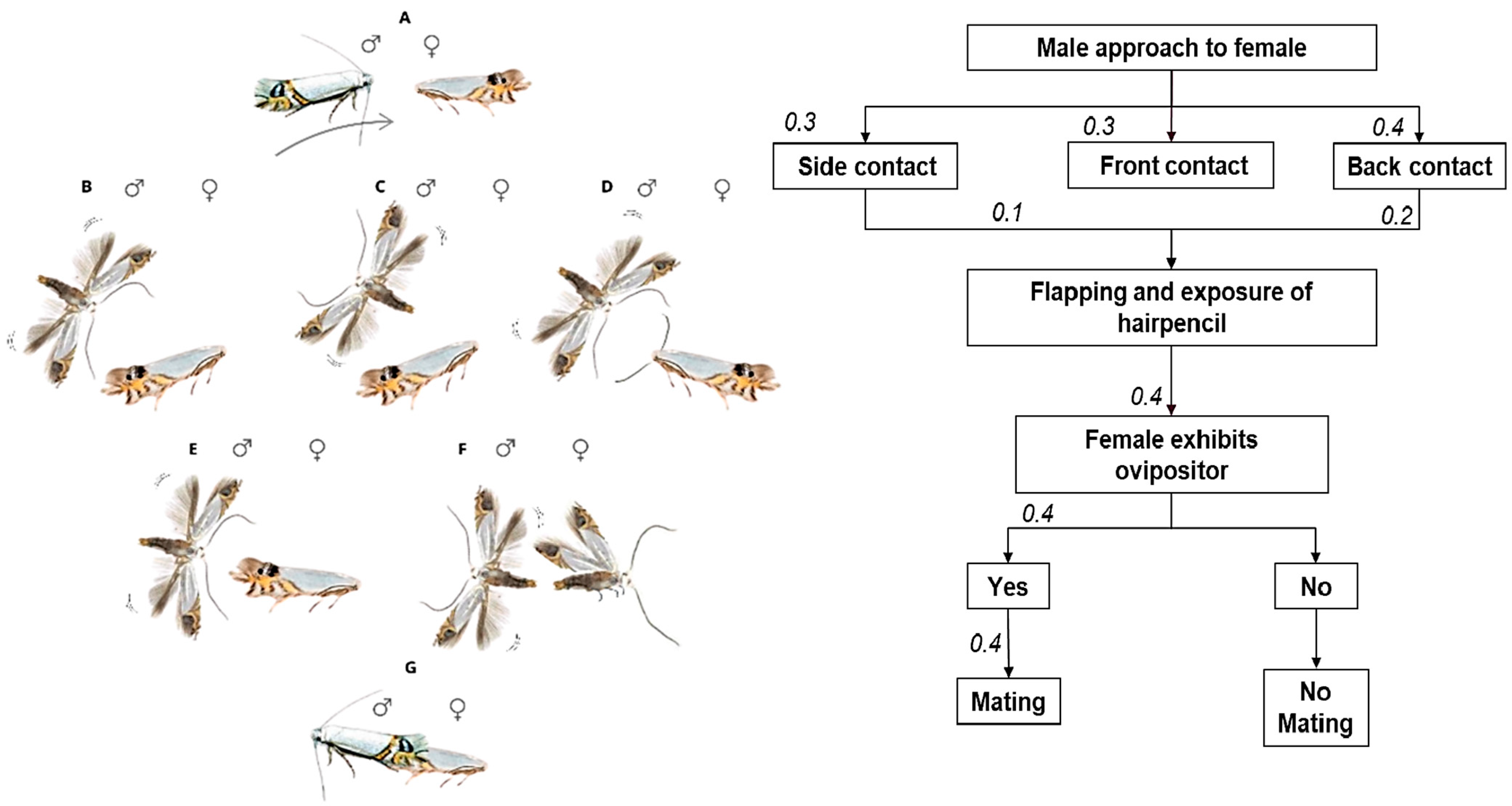 Insects 16 00032 g003