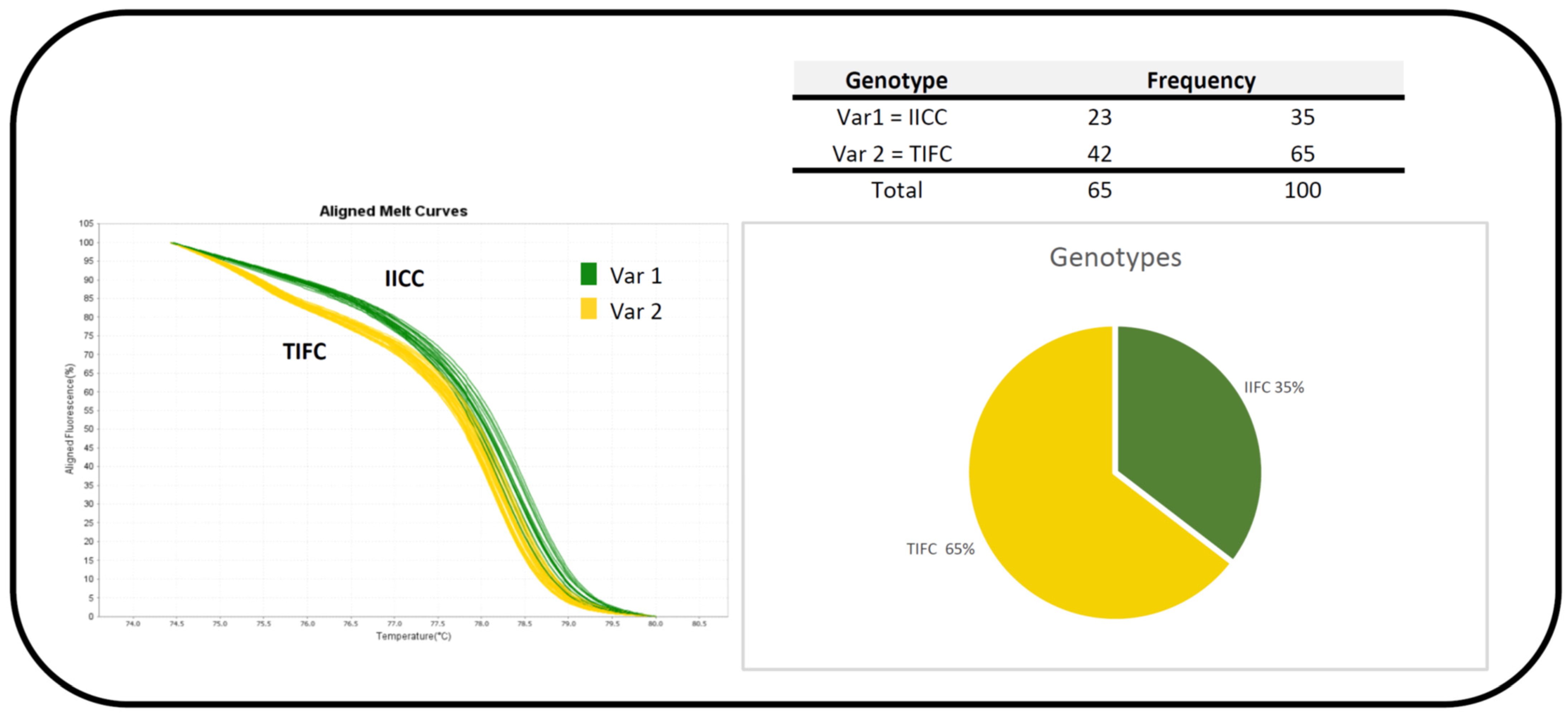 Insects 16 00033 g004