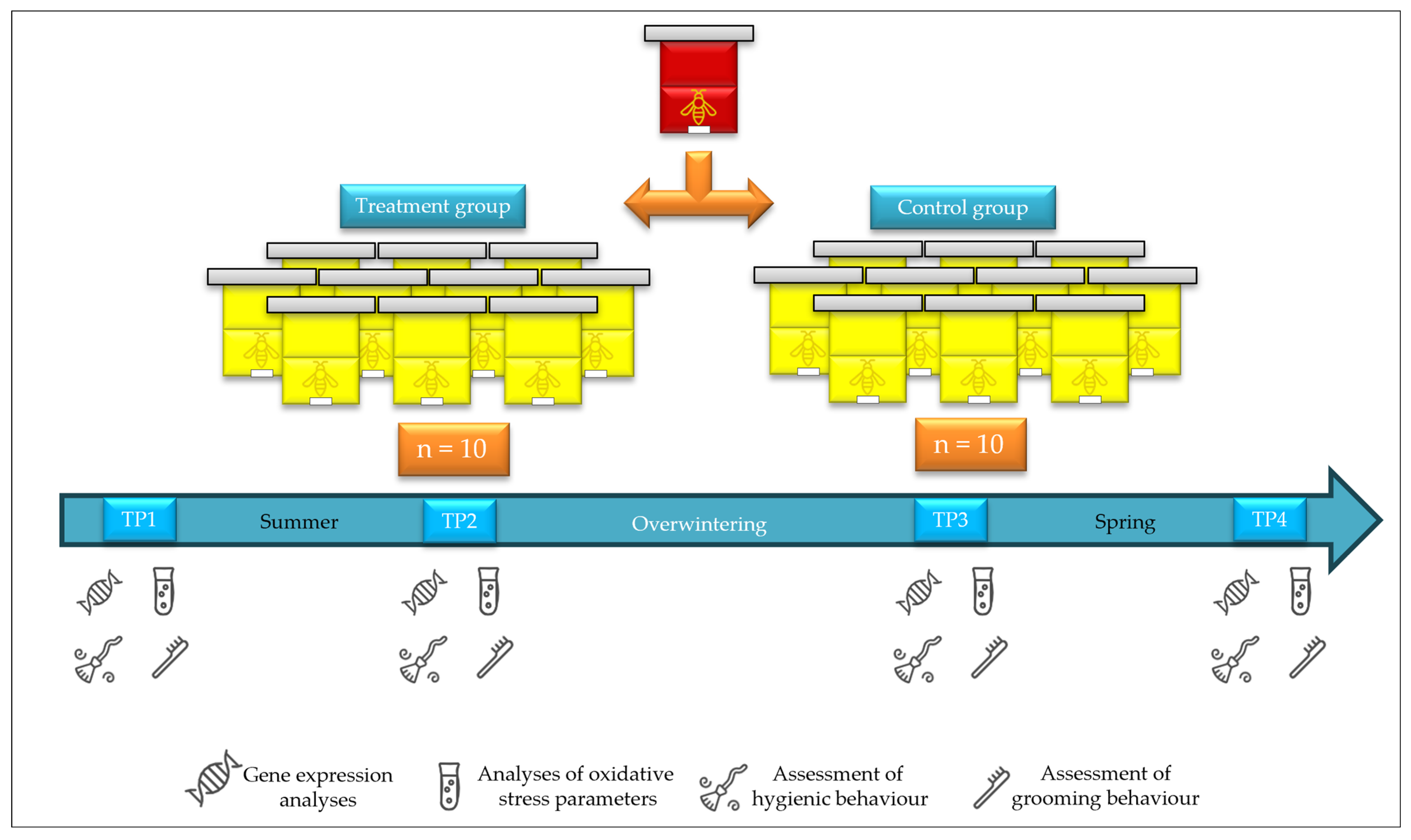 Insects 16 00036 g001 Insects 16 00036 g001
