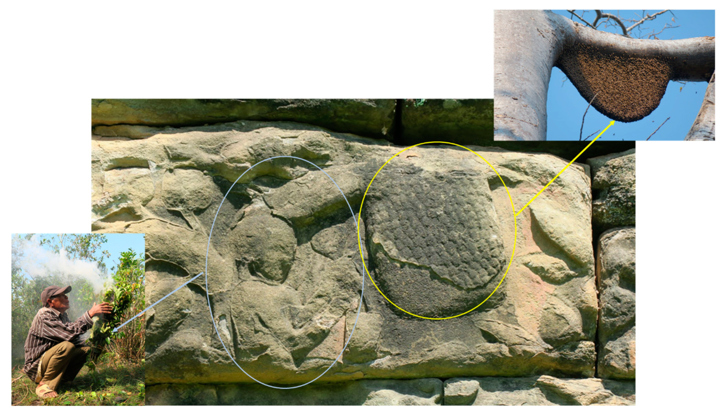 Insects 16 00039 g006