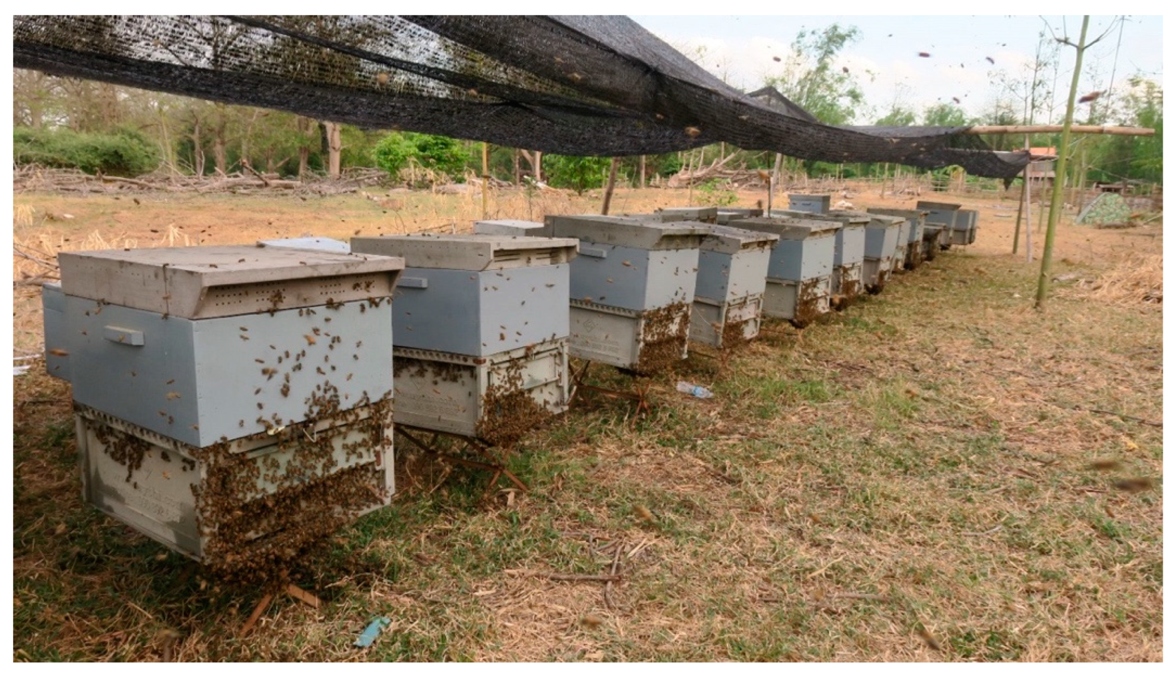 Insects 16 00039 g007