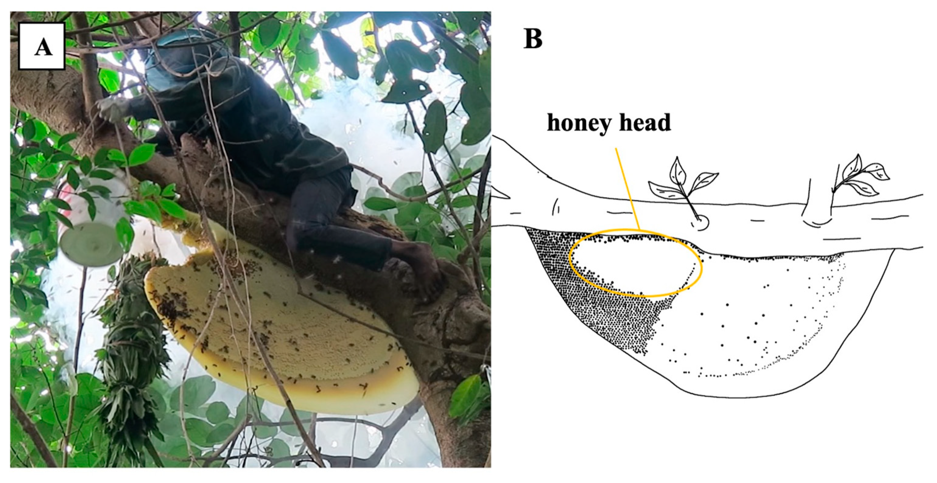 Insects 16 00039 g008