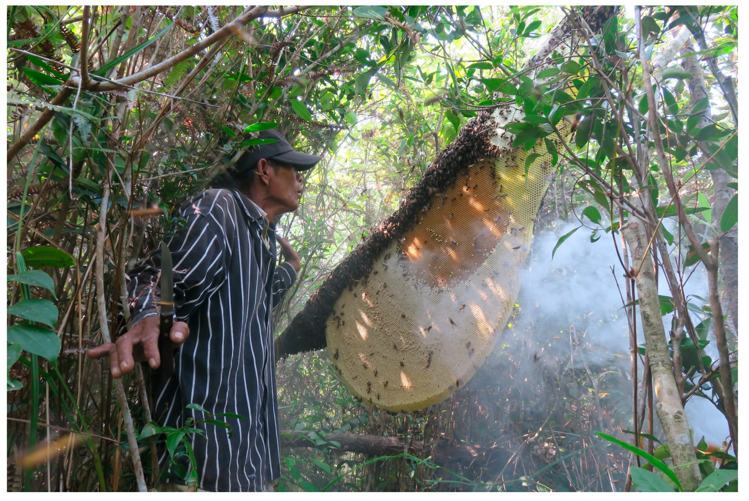 Insects 16 00039 g009