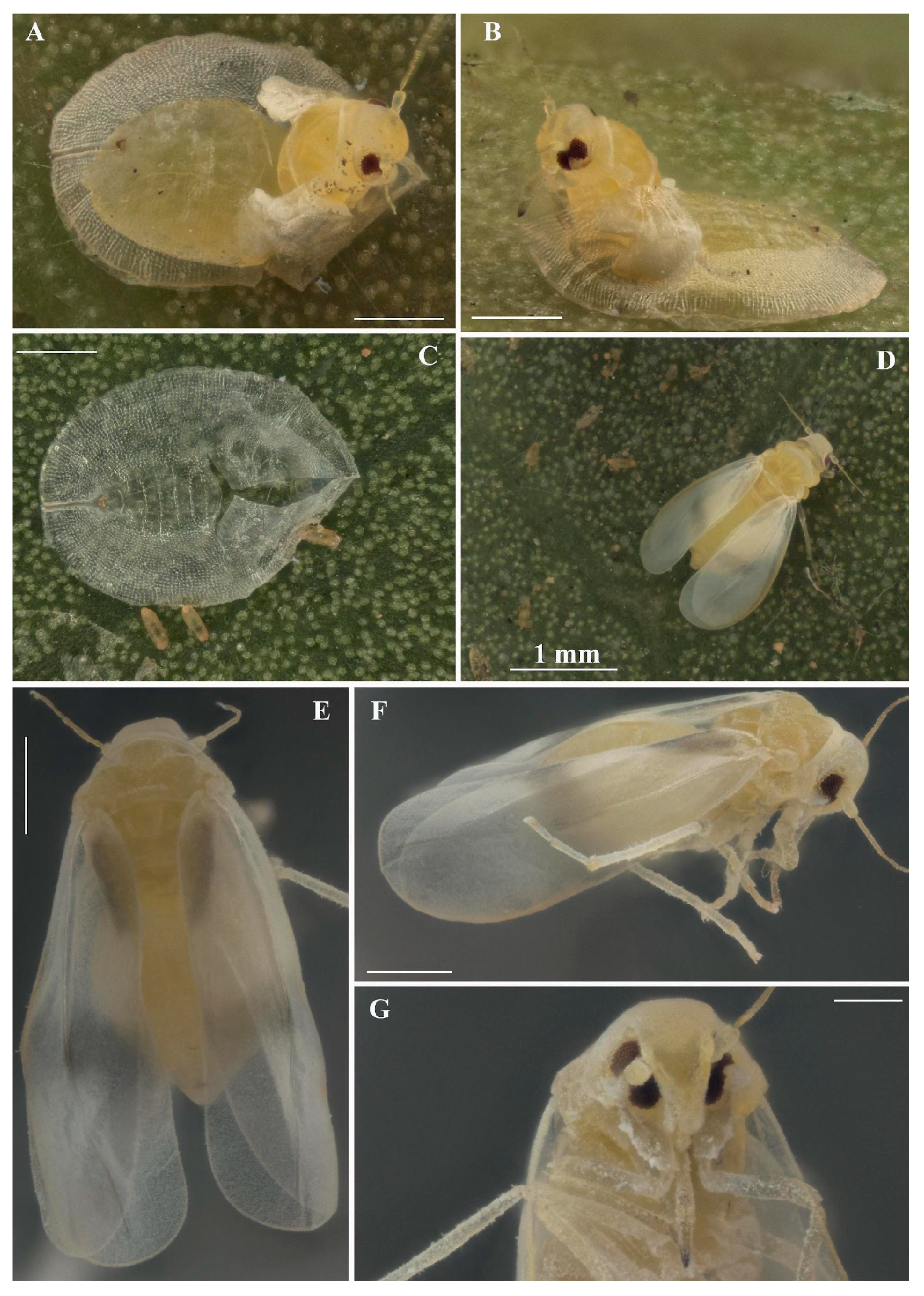 Insects 16 00040 g003