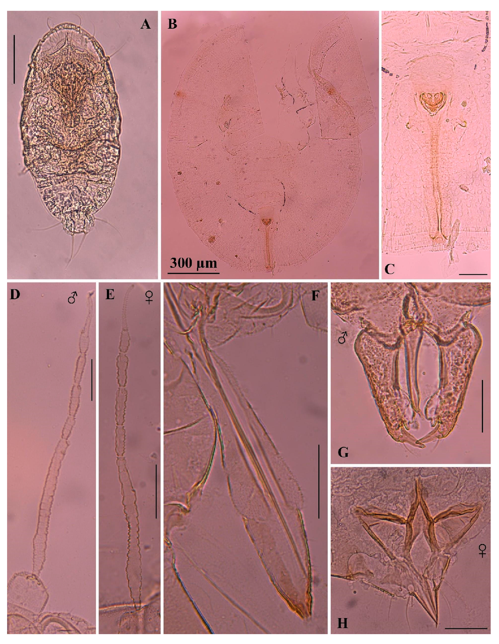Insects 16 00040 g004