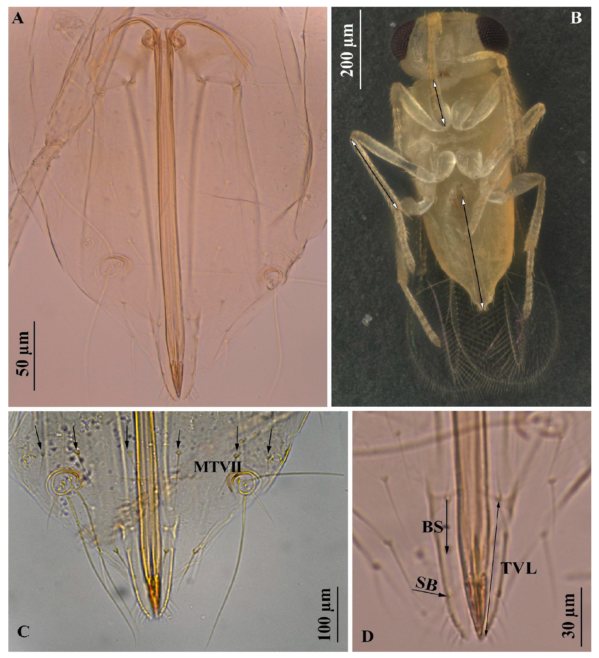 Insects 16 00040 g008