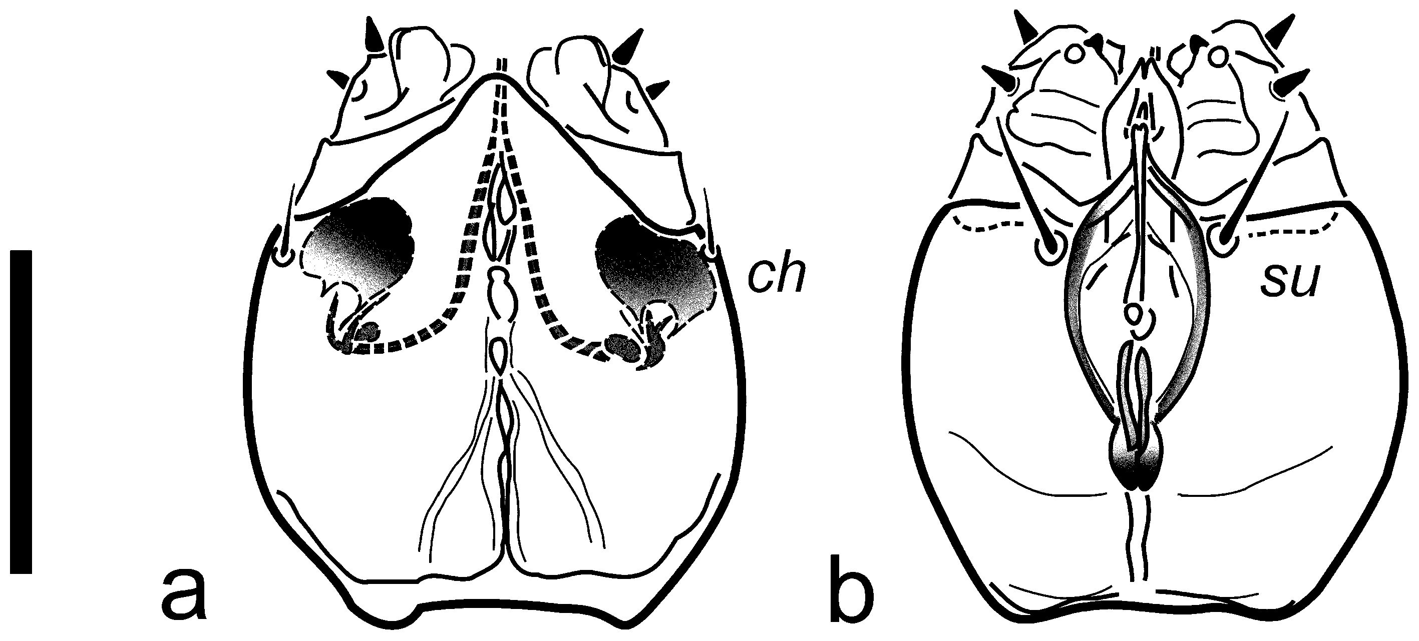 Insects 16 00046 g001