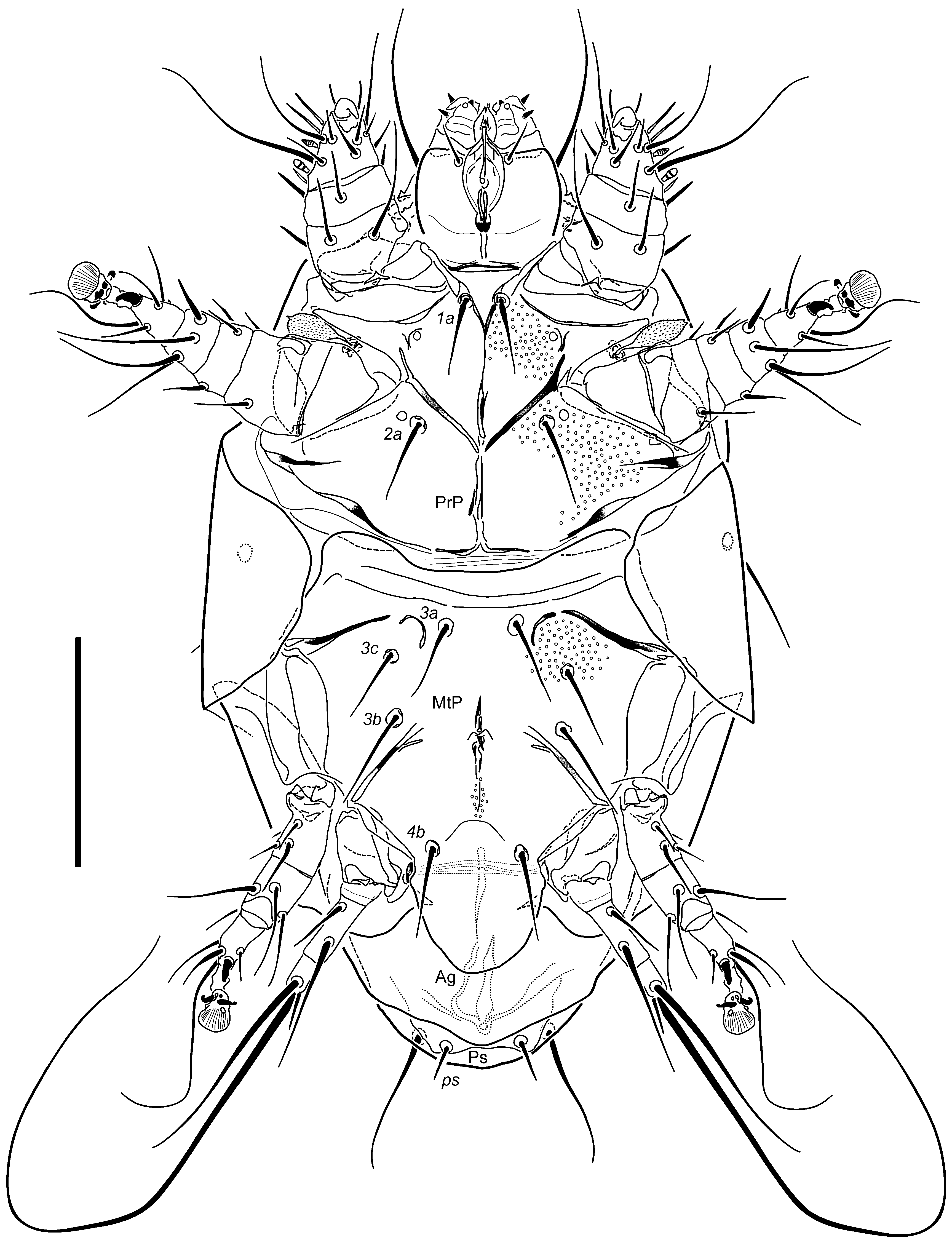 Insects 16 00046 g003