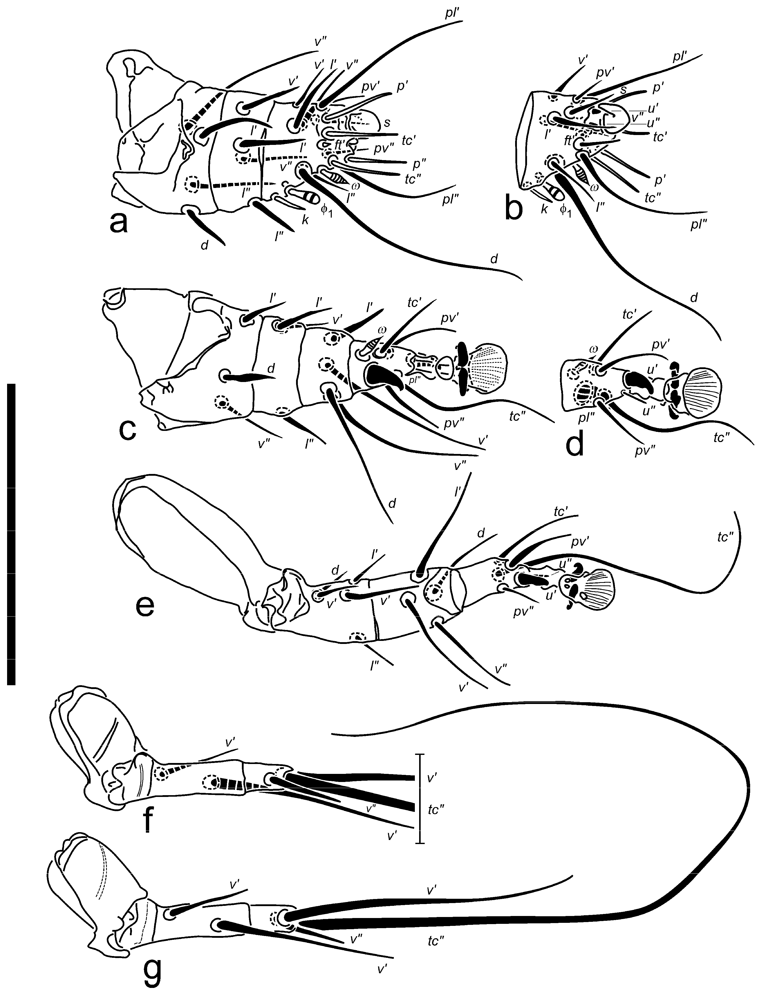 Insects 16 00046 g004