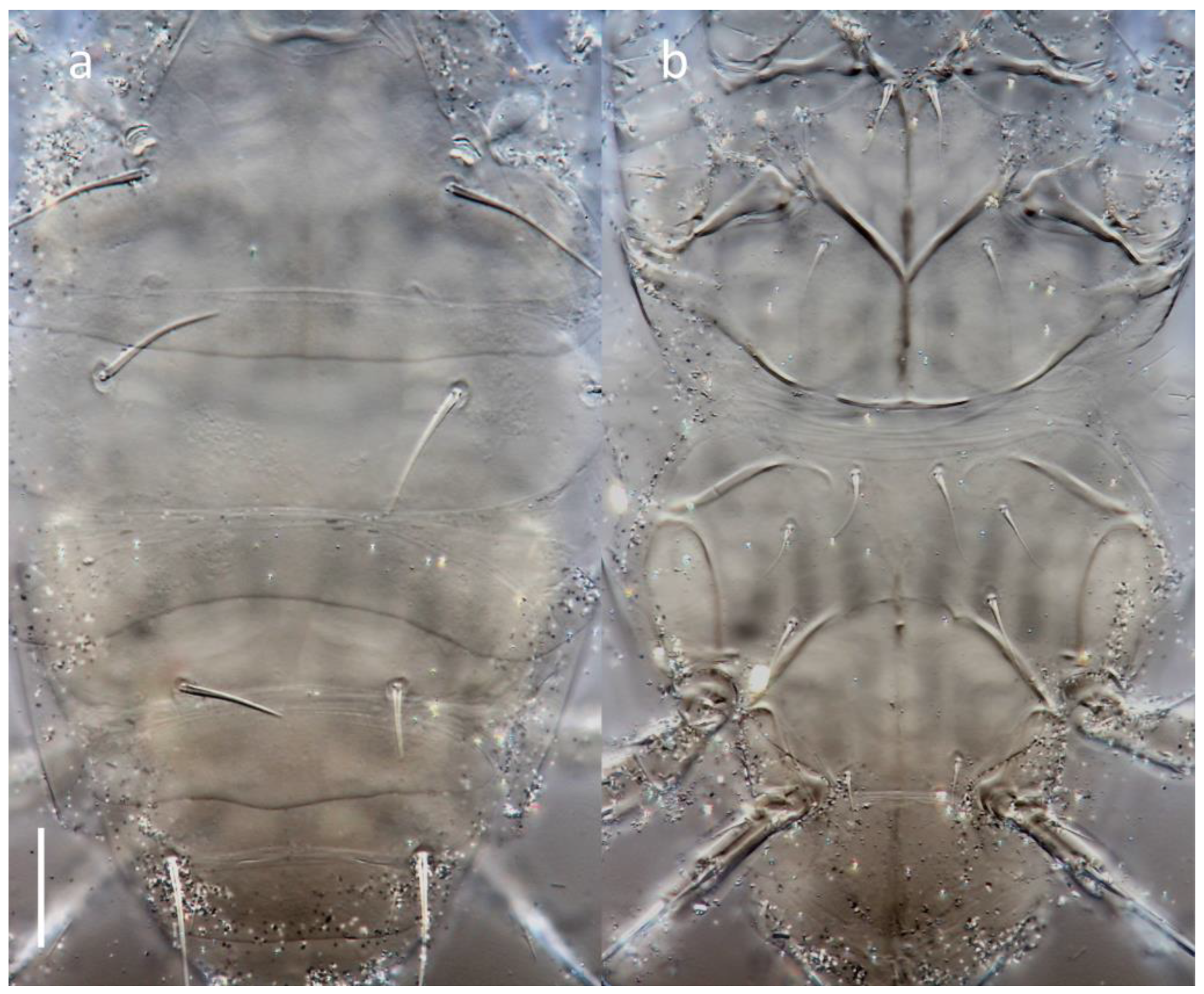 Insects 16 00046 g007