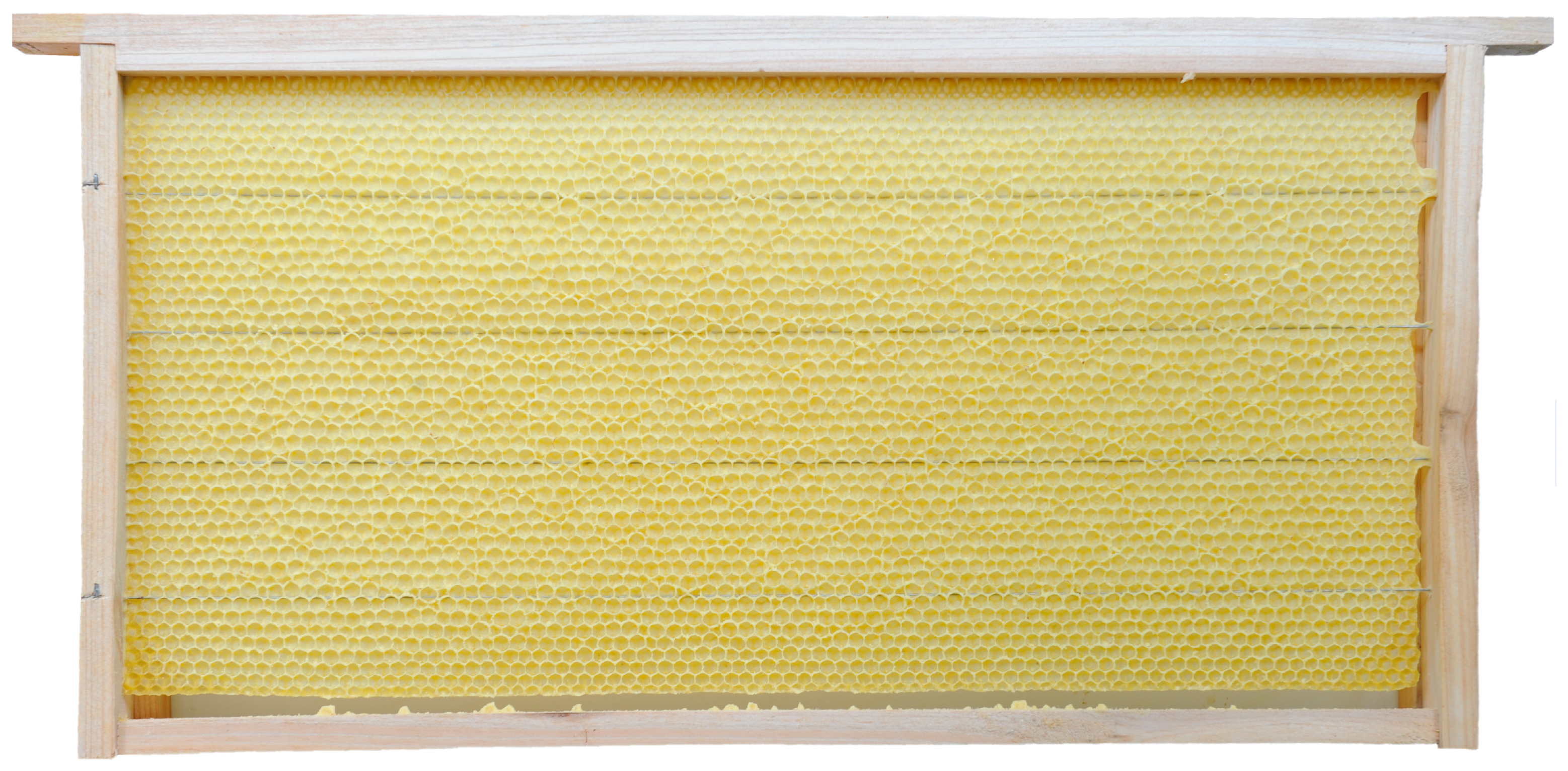 Insects 16 00052 g004