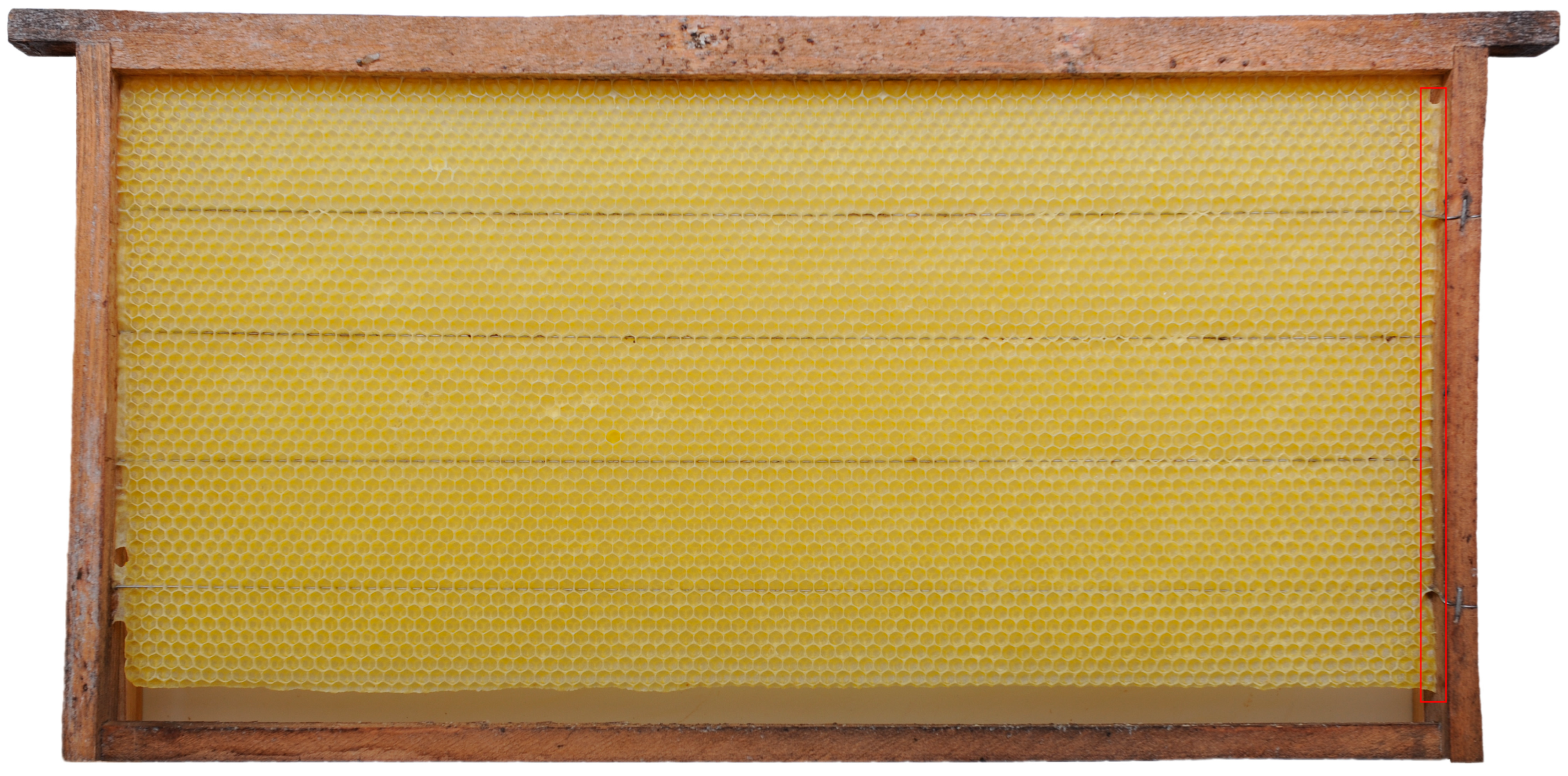 Insects 16 00052 g006