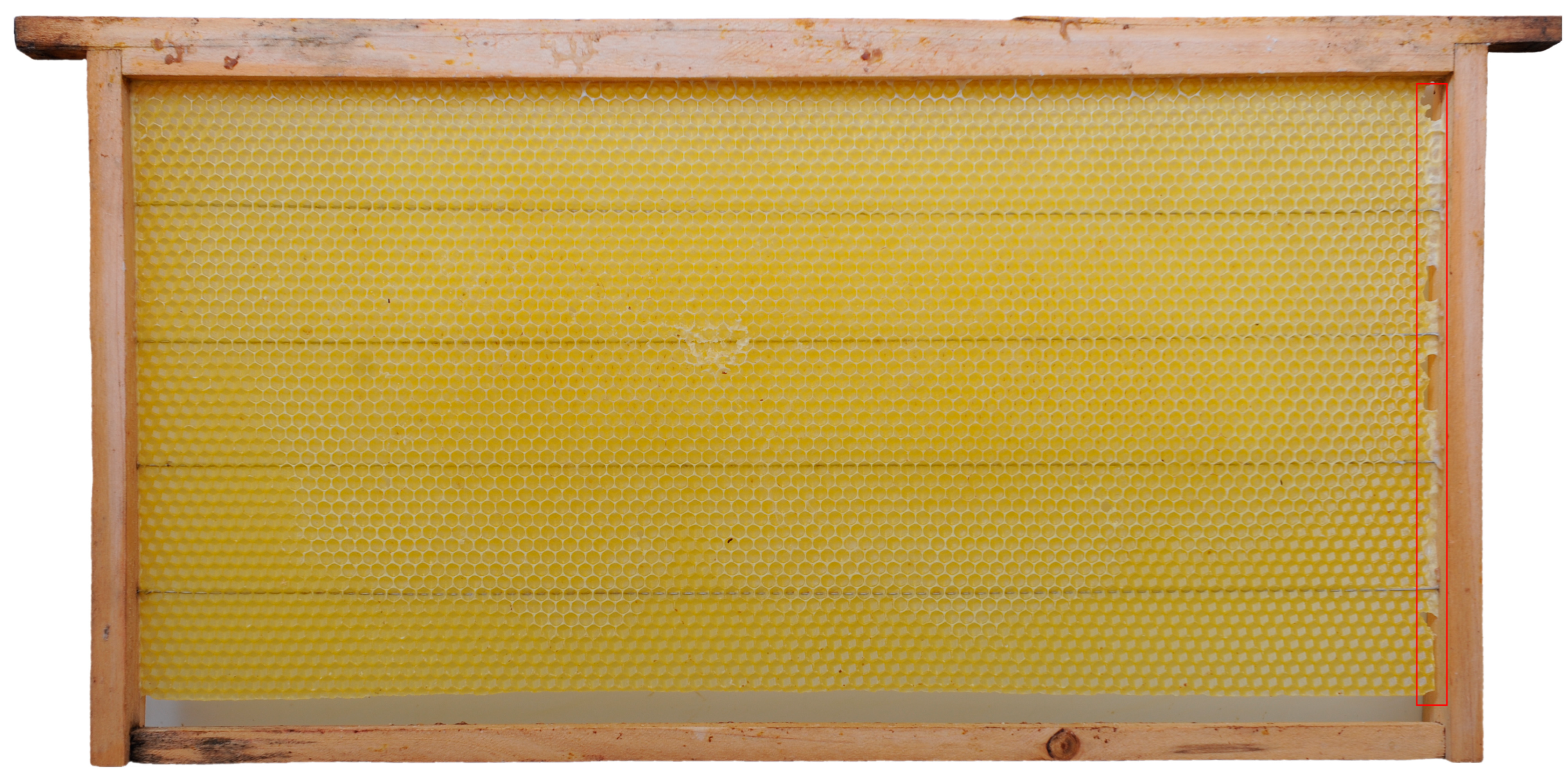 Insects 16 00052 g008