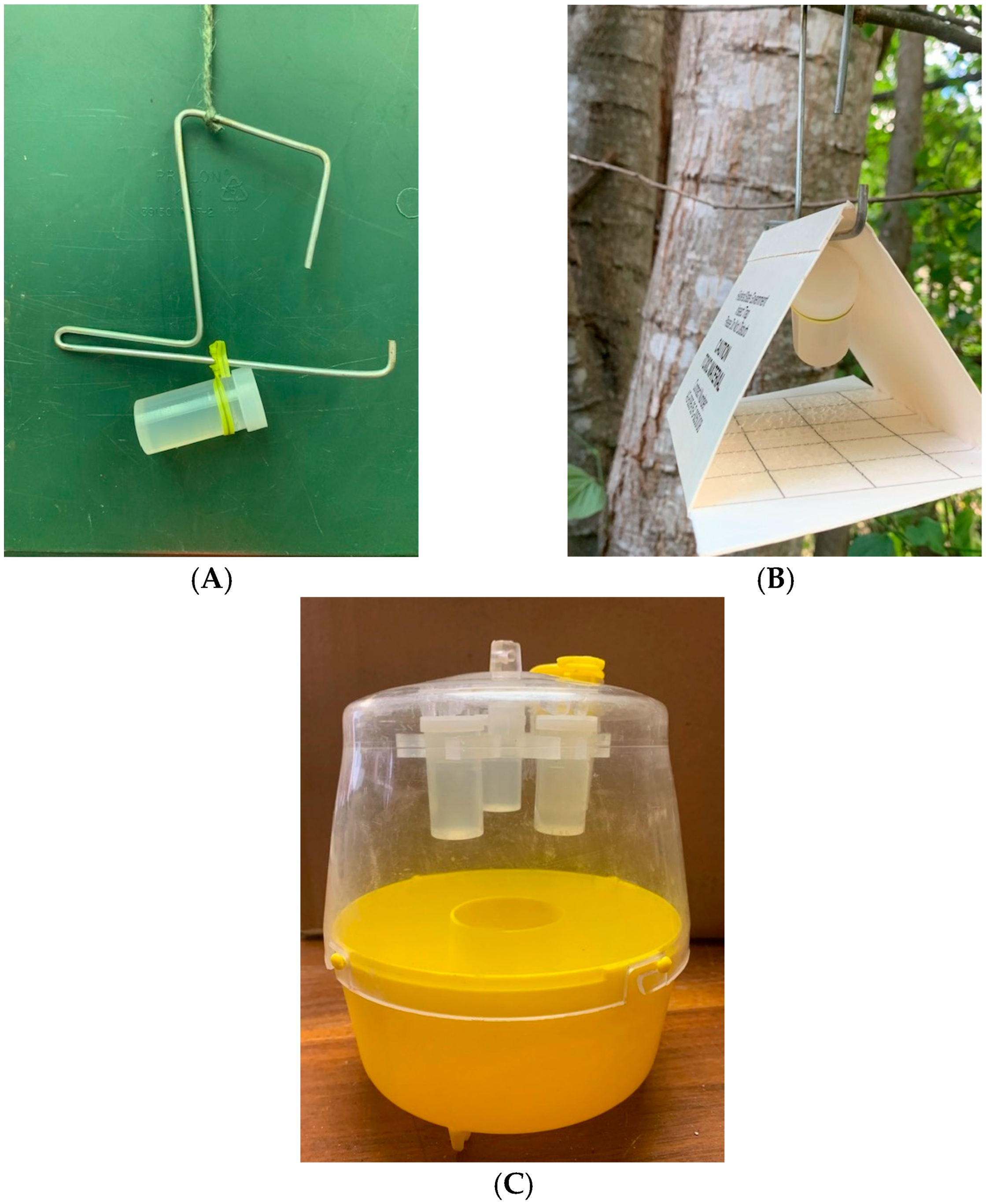 Insects 16 00053 g001 Insects 16 00053 g001