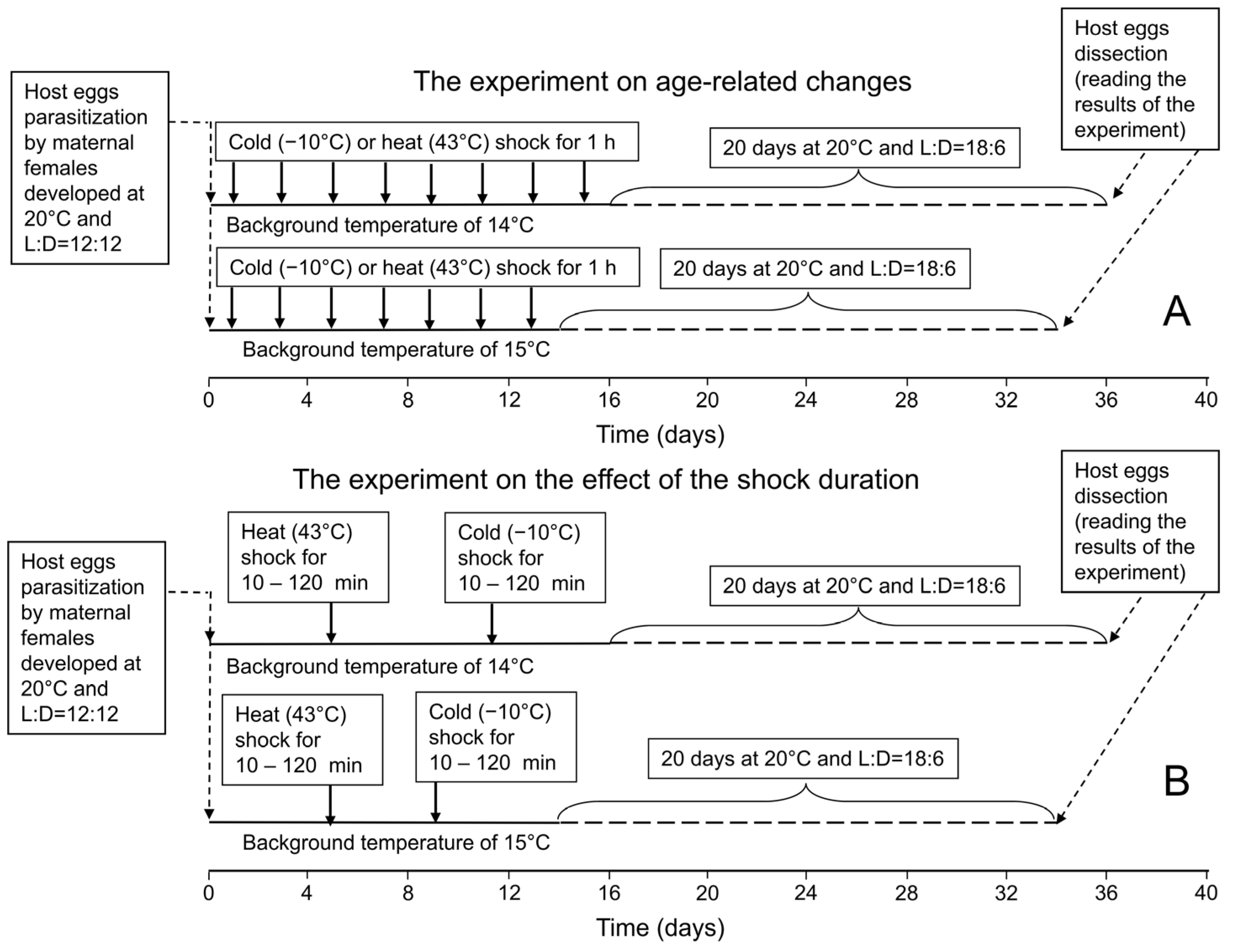 Insects 16 00054 g001