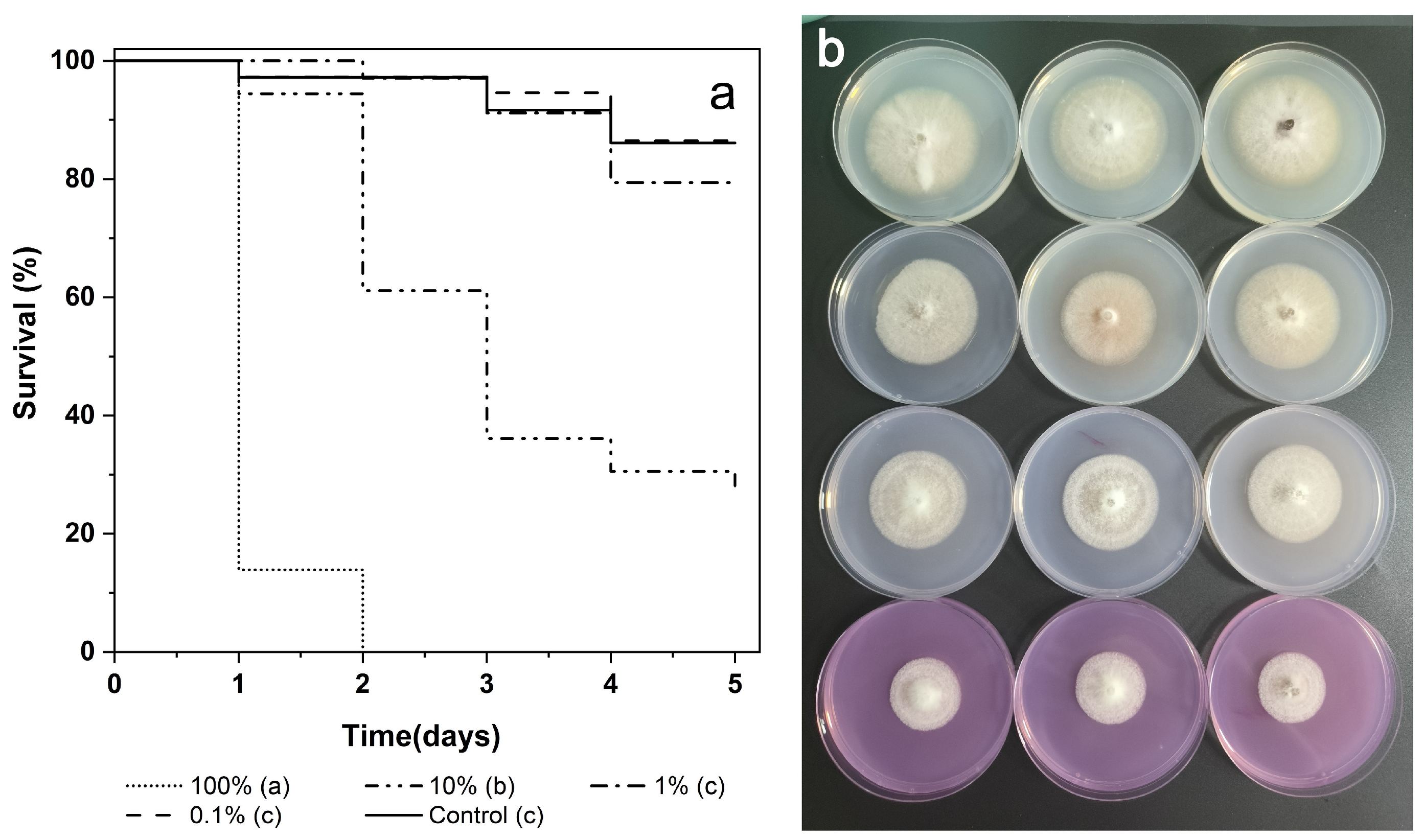 Insects 16 00056 g005